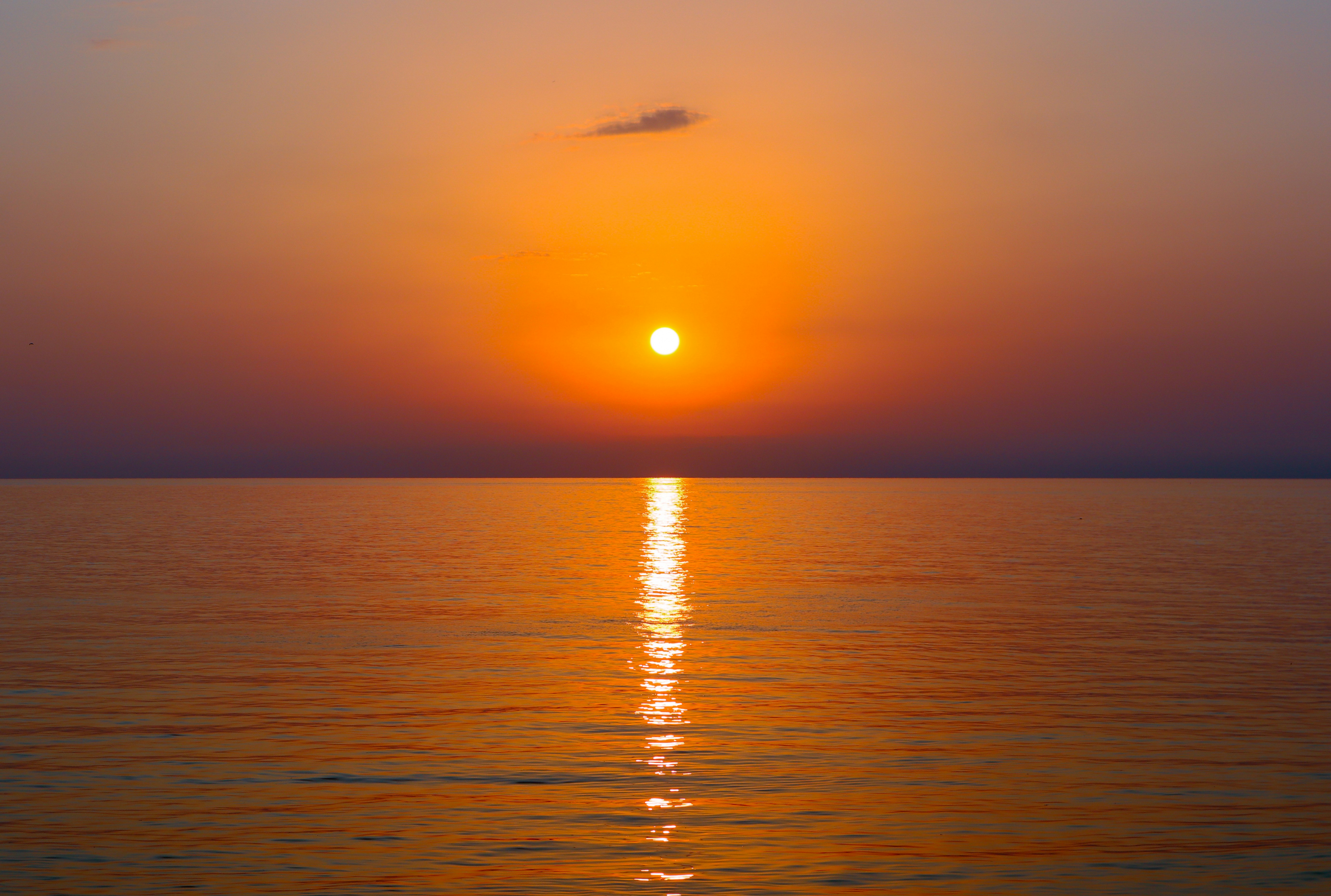 Photo by ecehasdemir