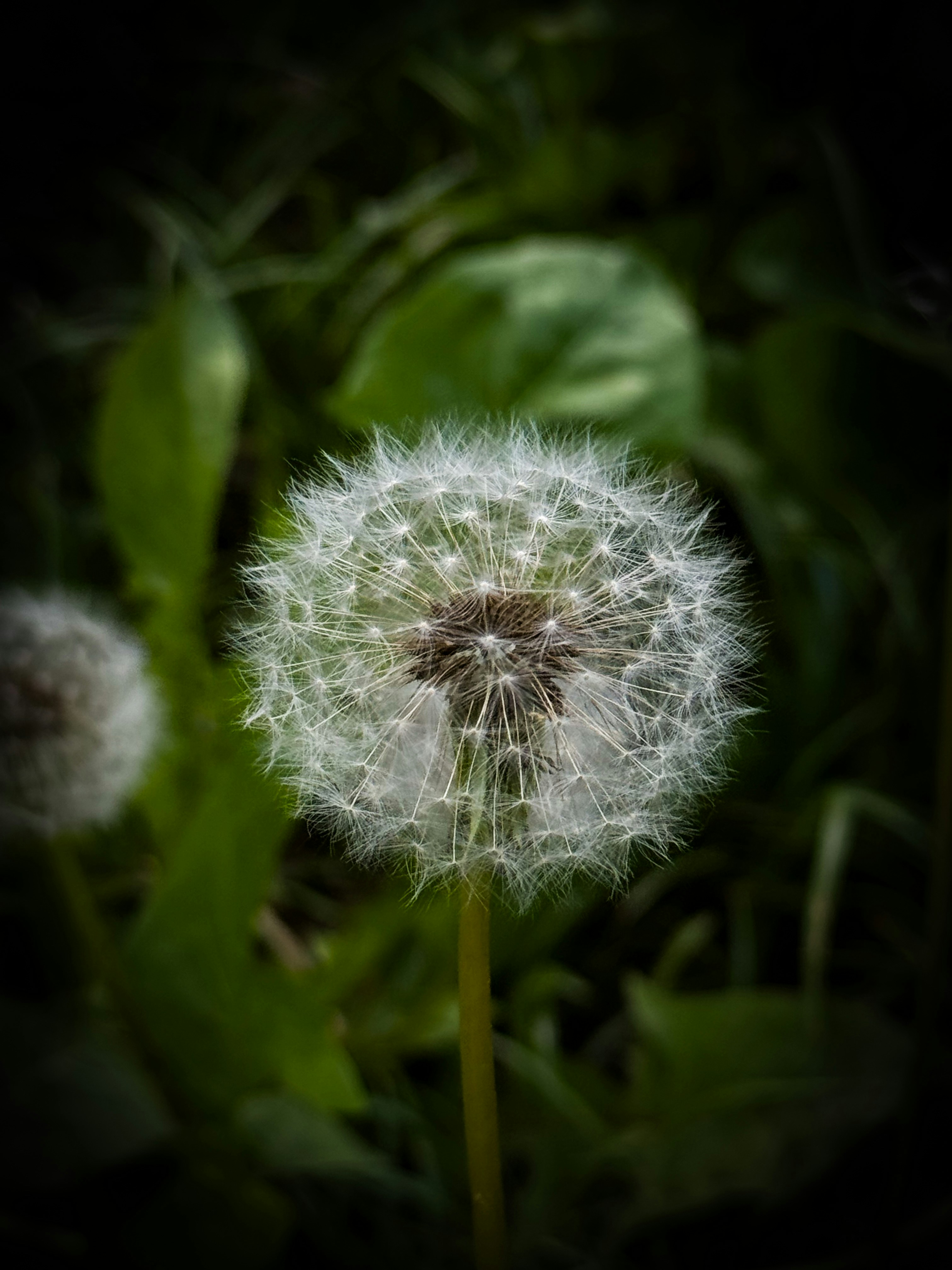 Photo by ecehasdemir