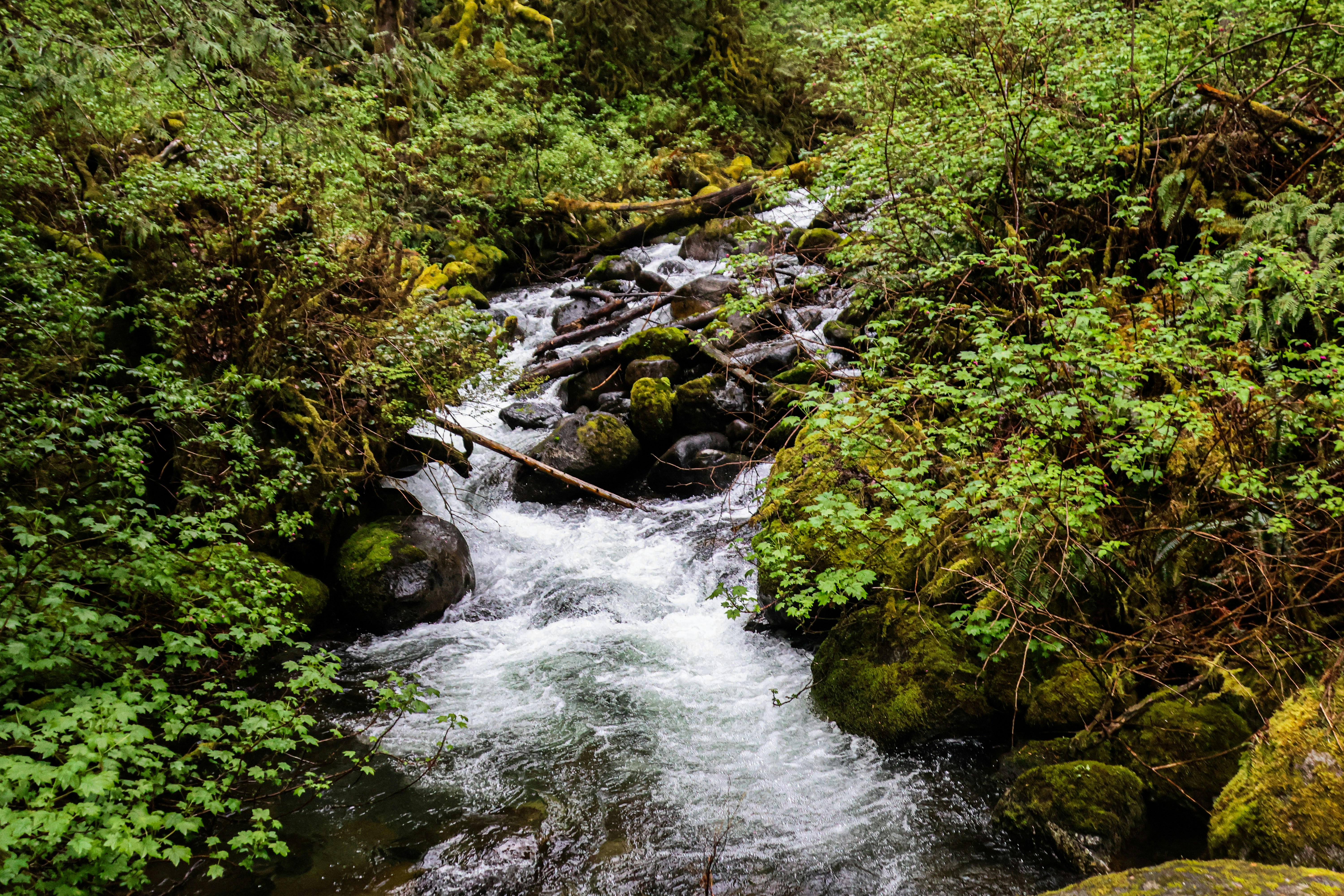 Photo by traveleroohlala