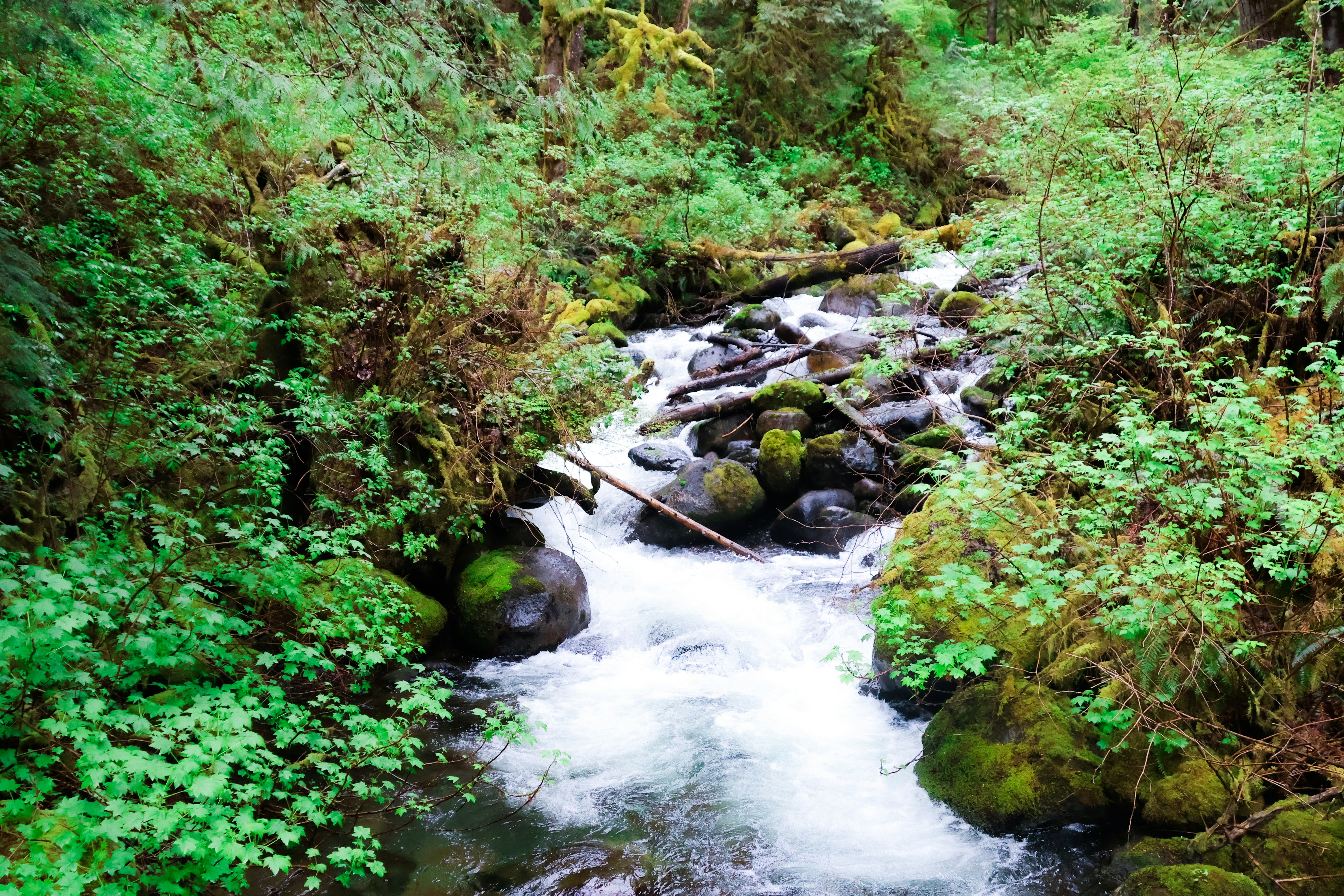 Photo by traveleroohlala