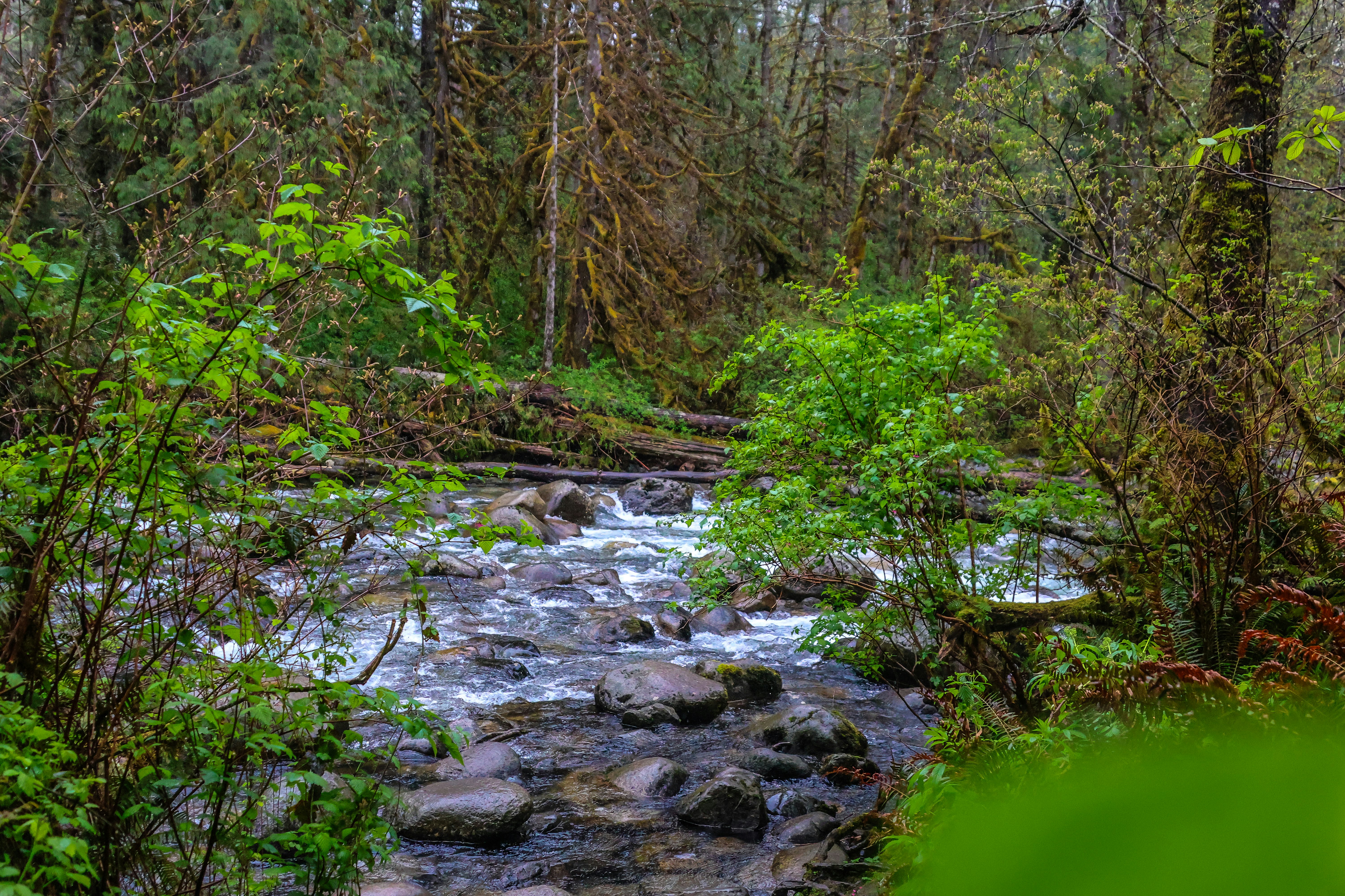 Photo by traveleroohlala