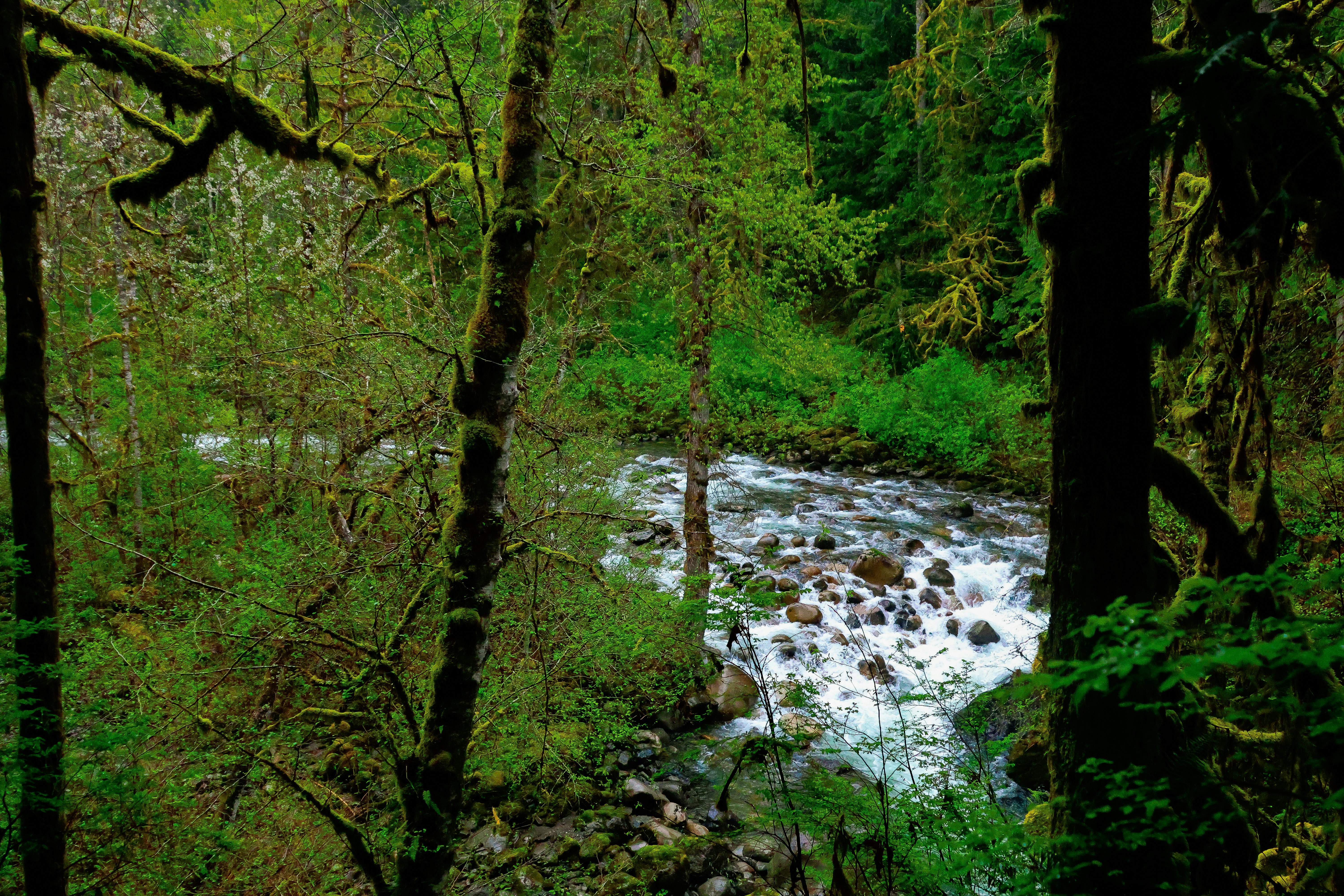 Photo by traveleroohlala