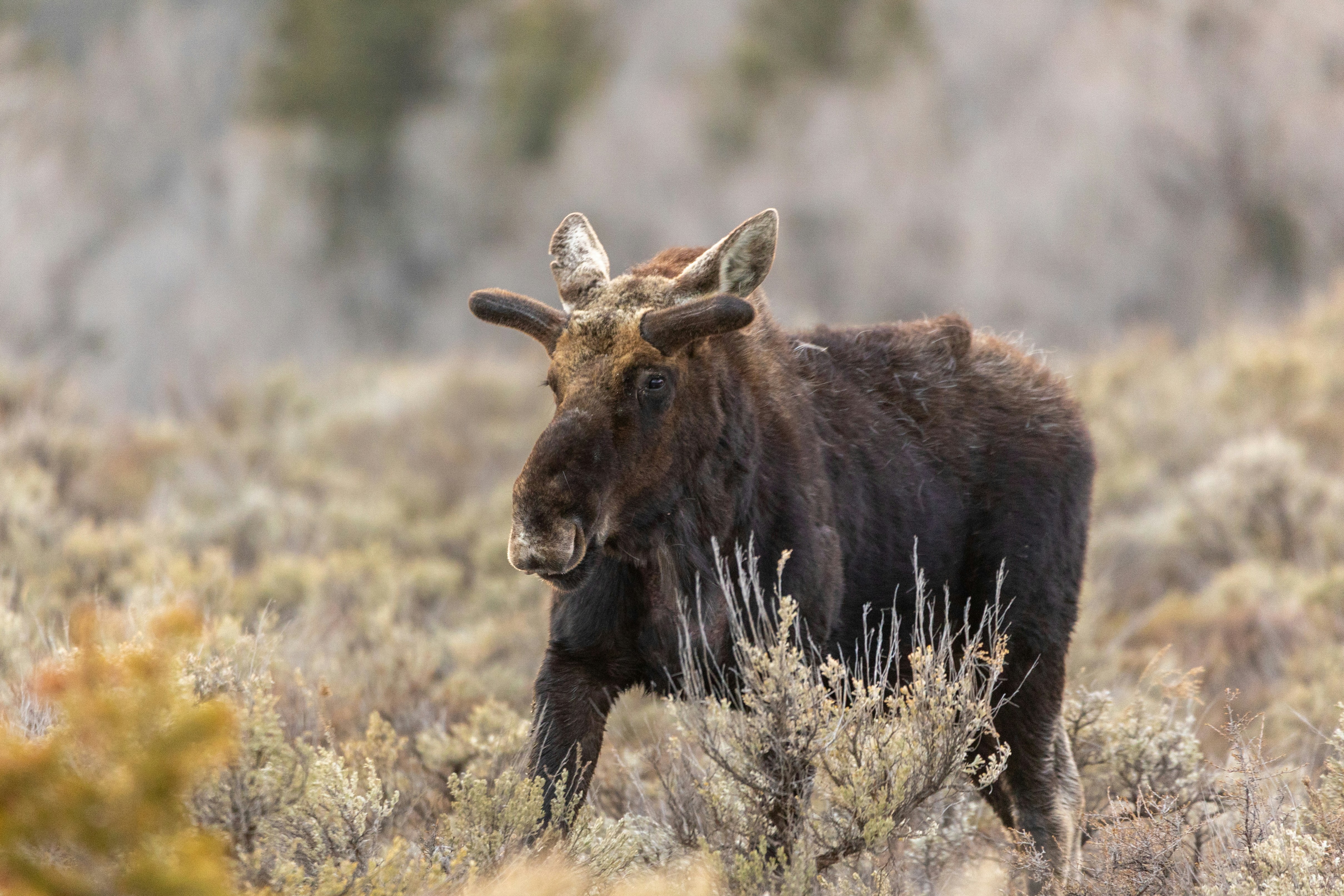 Photo by dallaspenner