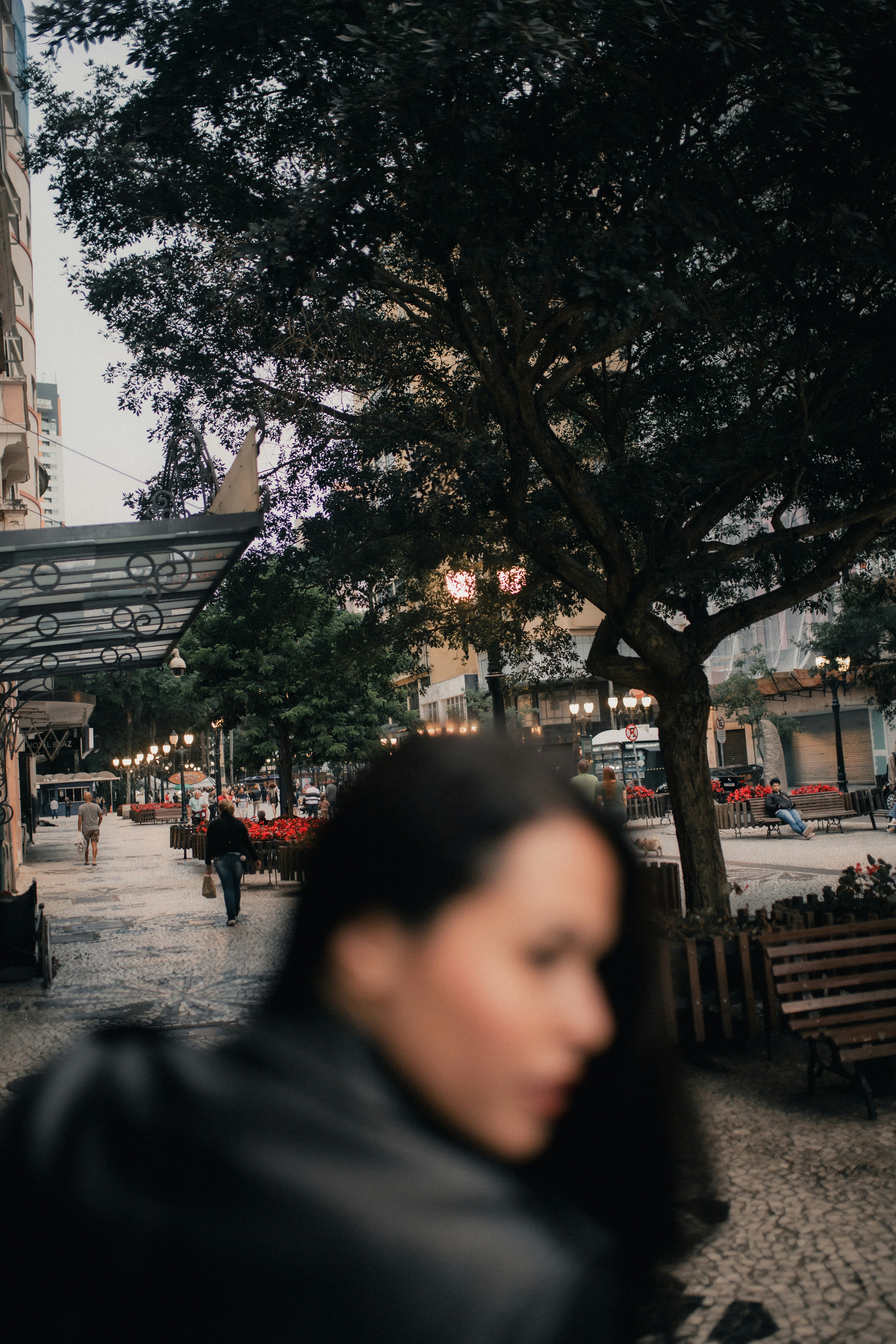 Photo by alexandermassph