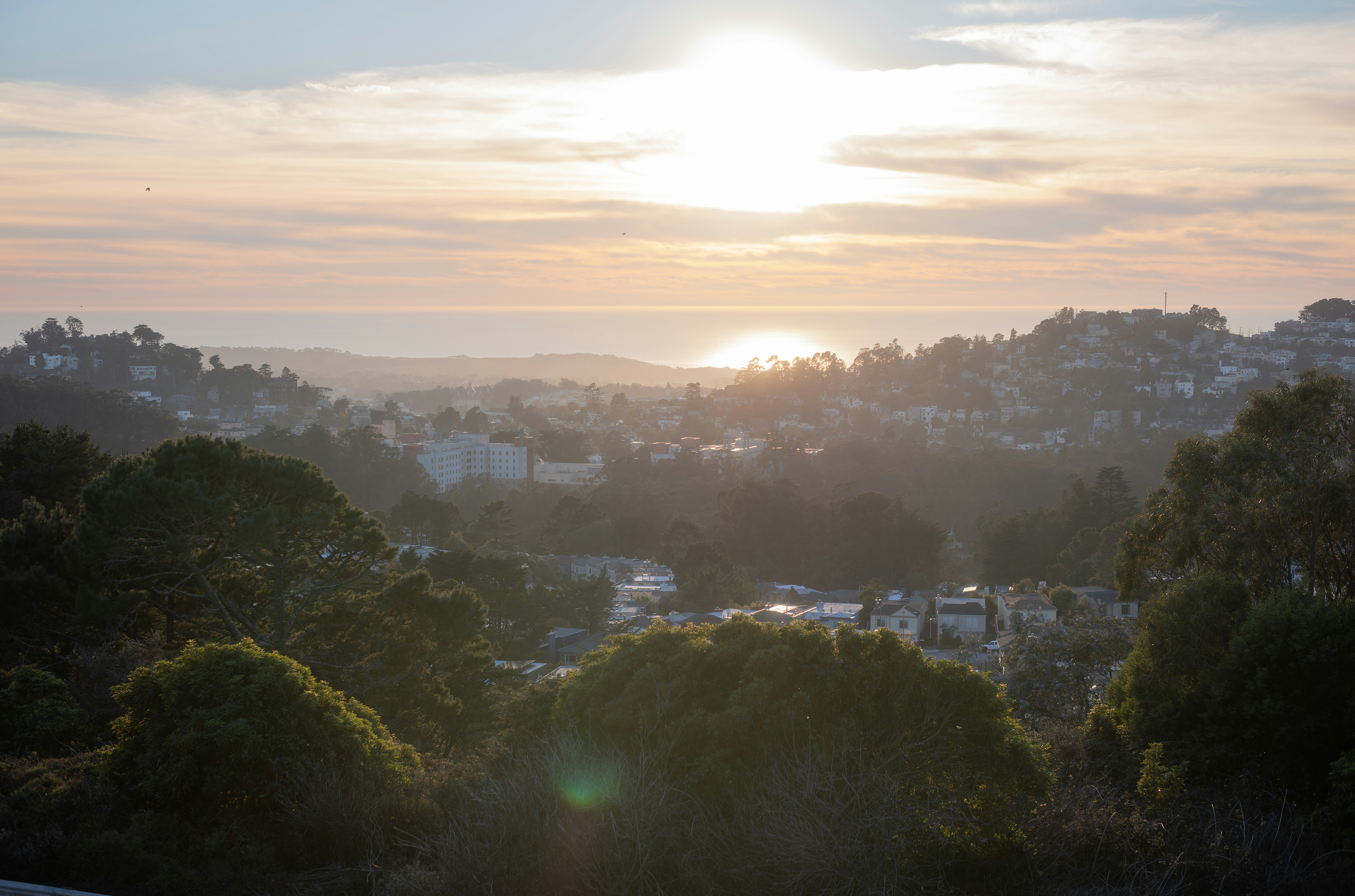 Photo by iyashi_studio