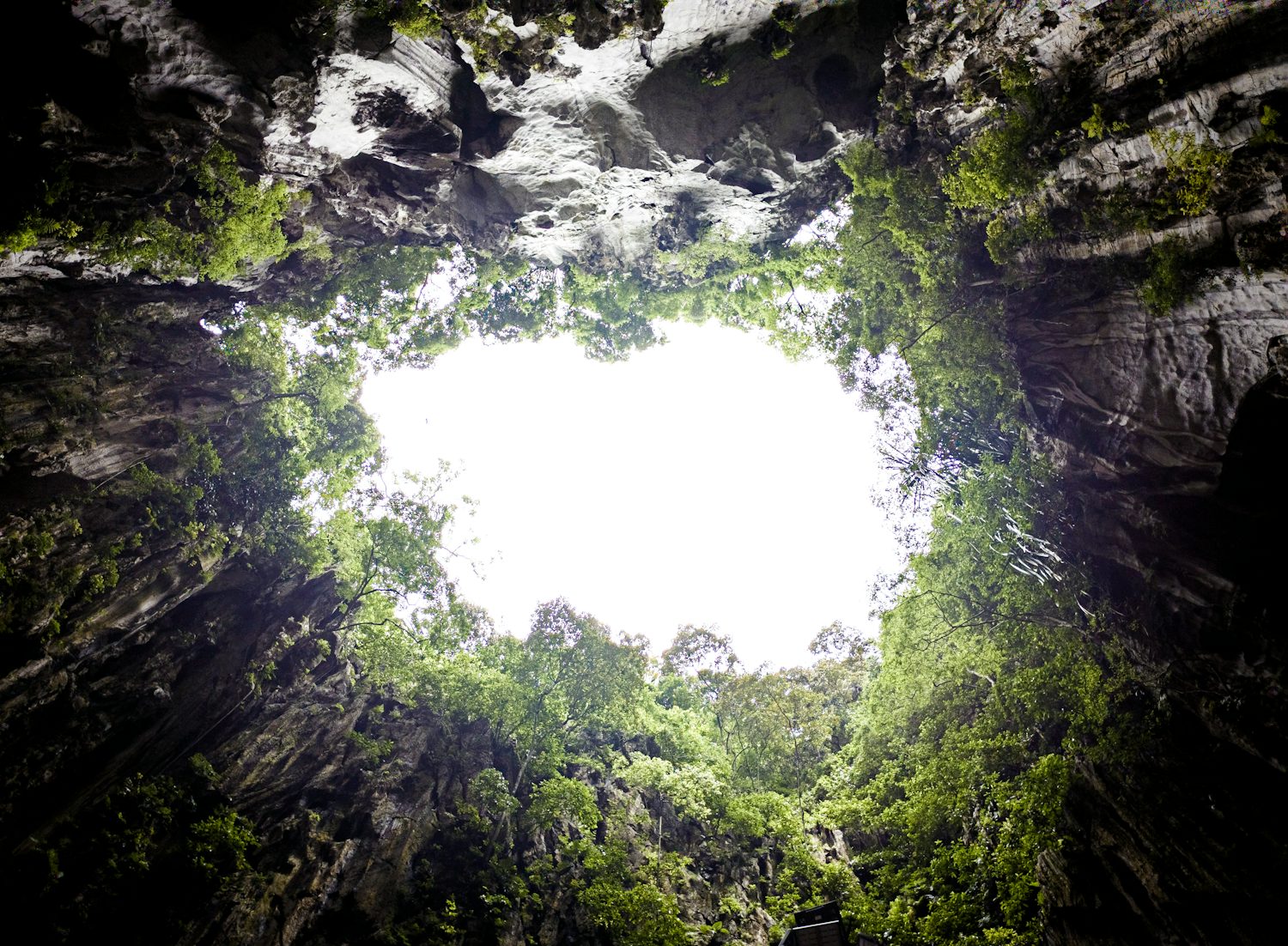 A view looking directly upwards from inside a cave, showing a bright opening filled with the sky and dense green foliage covering the rocky edges.