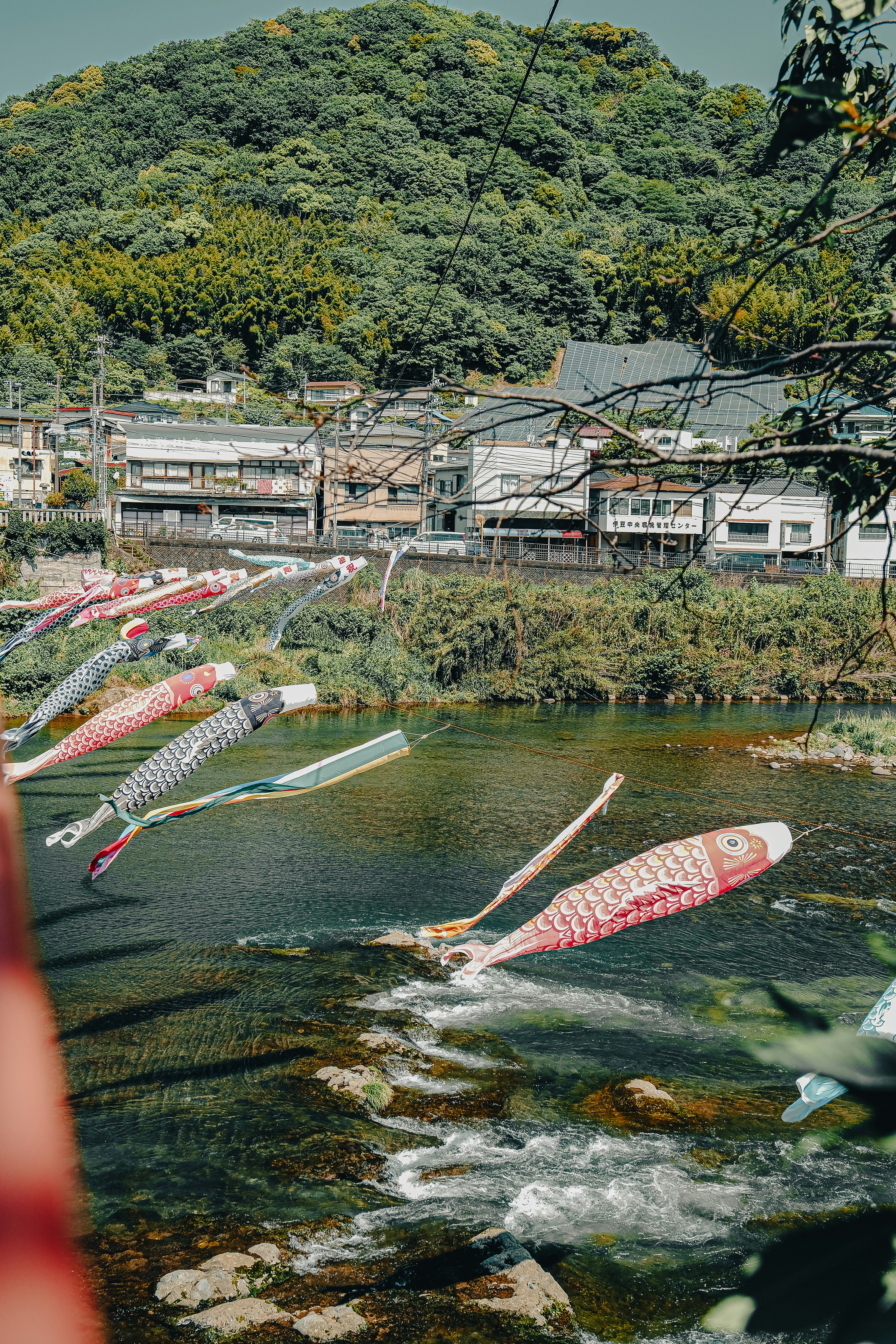 잉어 깃발이 고요한 강 위를 날아갑니다.