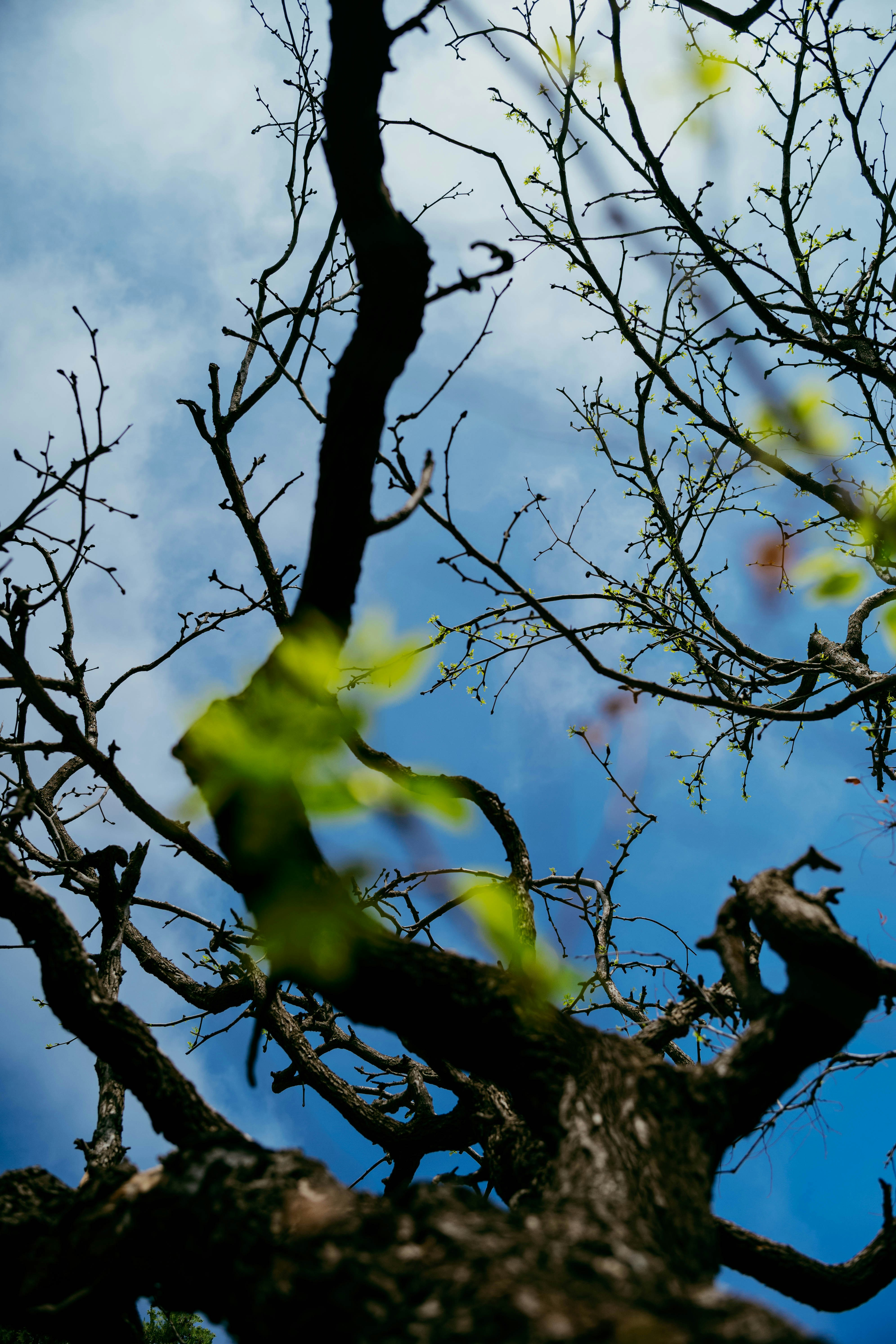 Photo by tommaomaoer