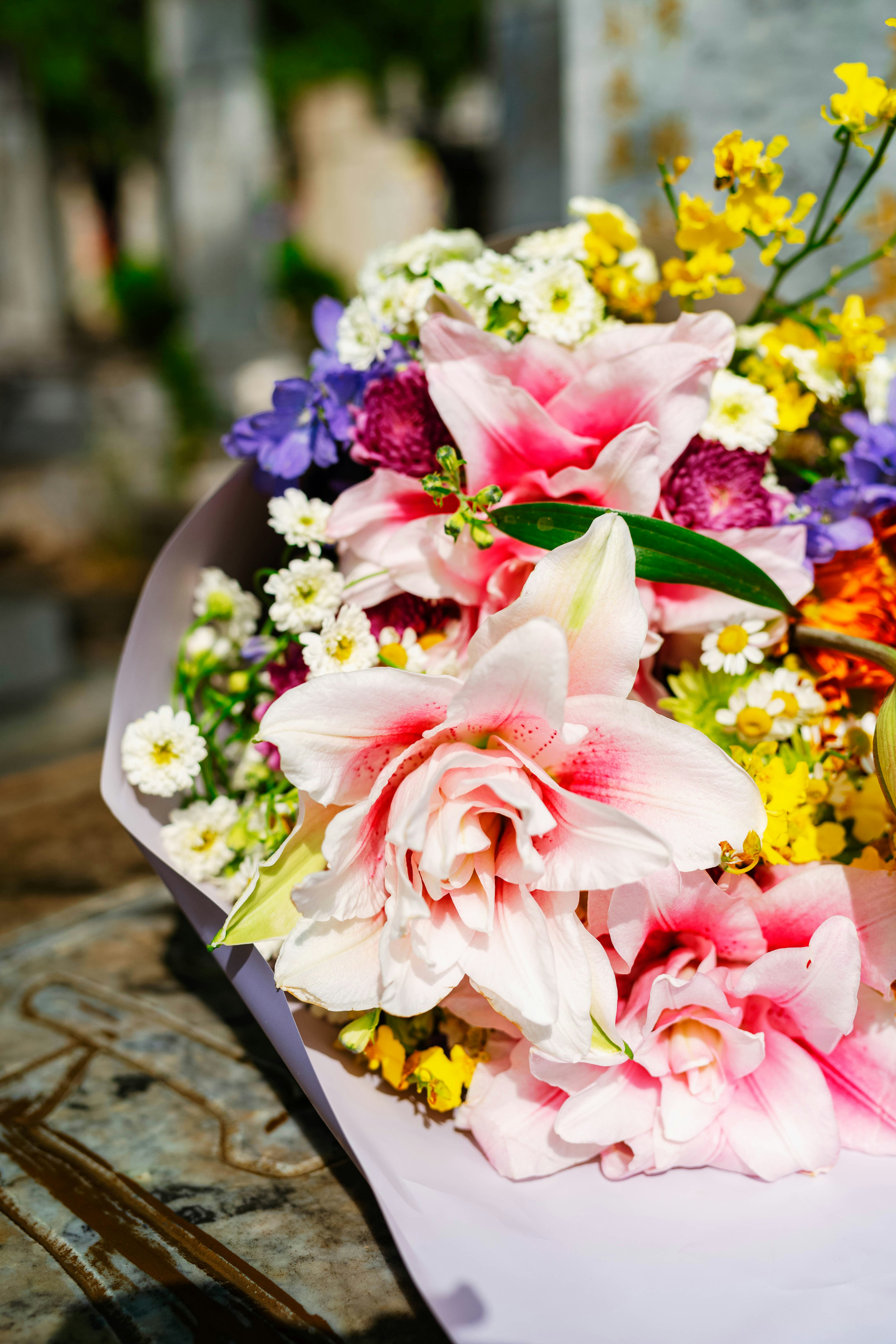 Photo by tommaomaoer