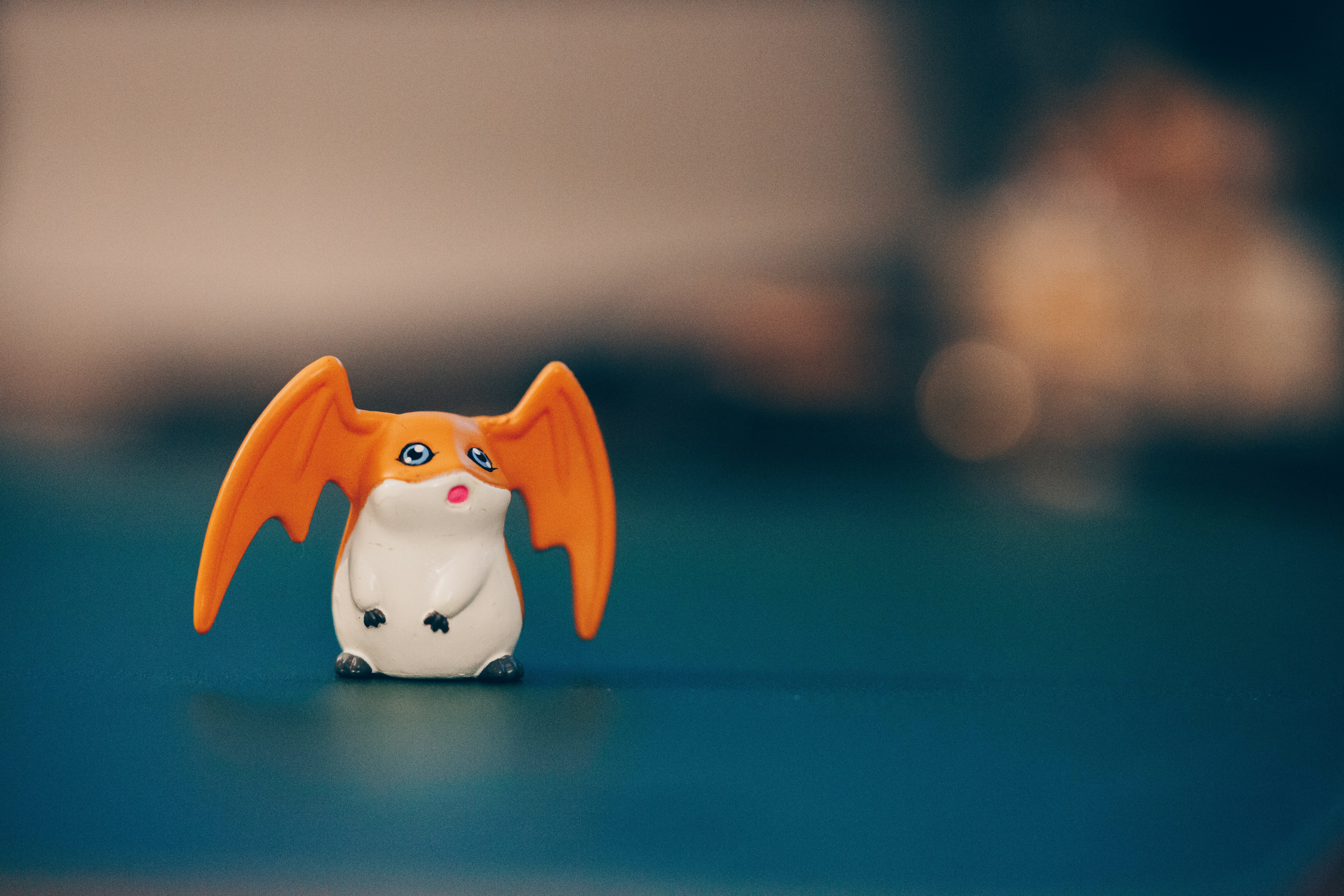 Photo by vivitergovivo