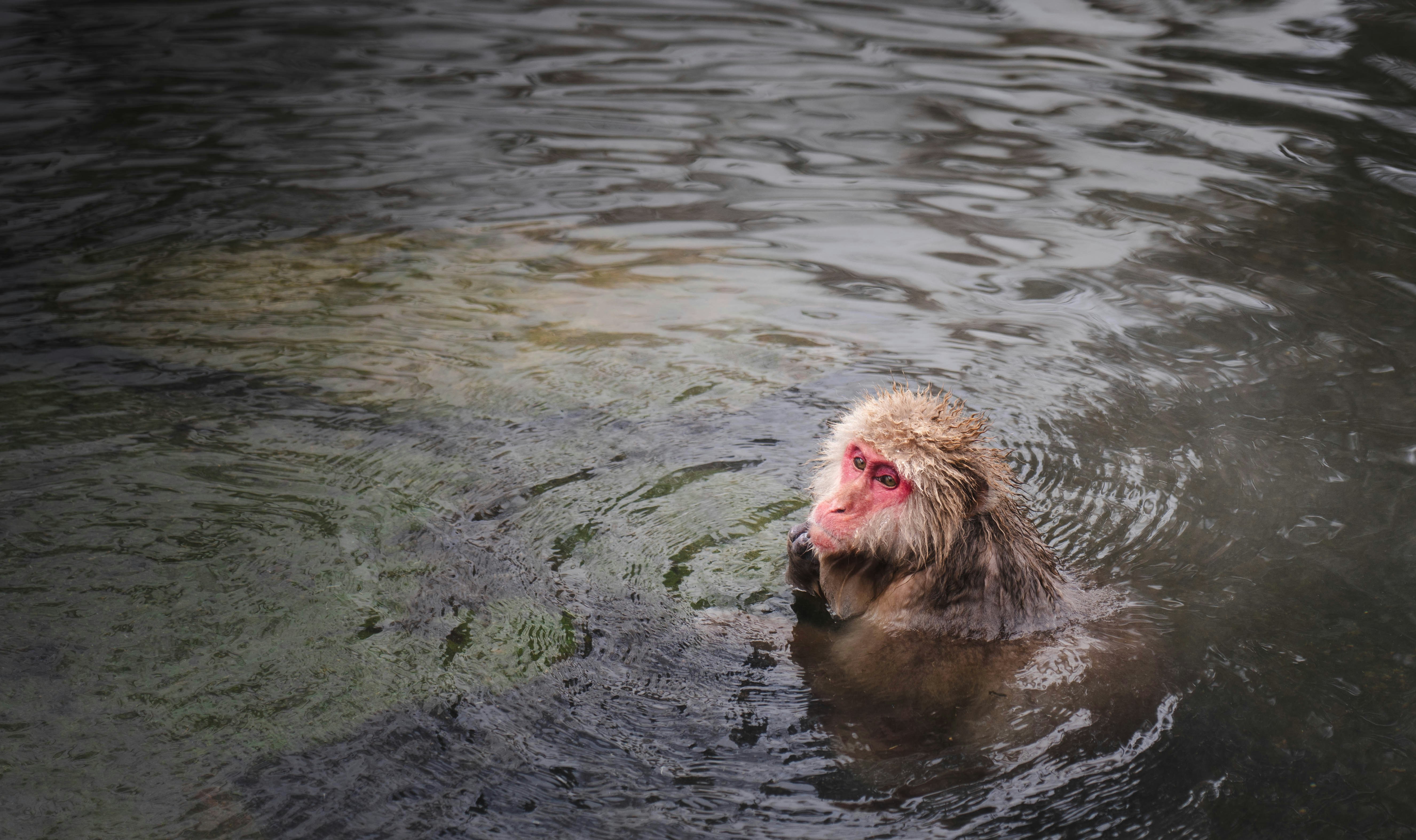 Photo by linweiqiang