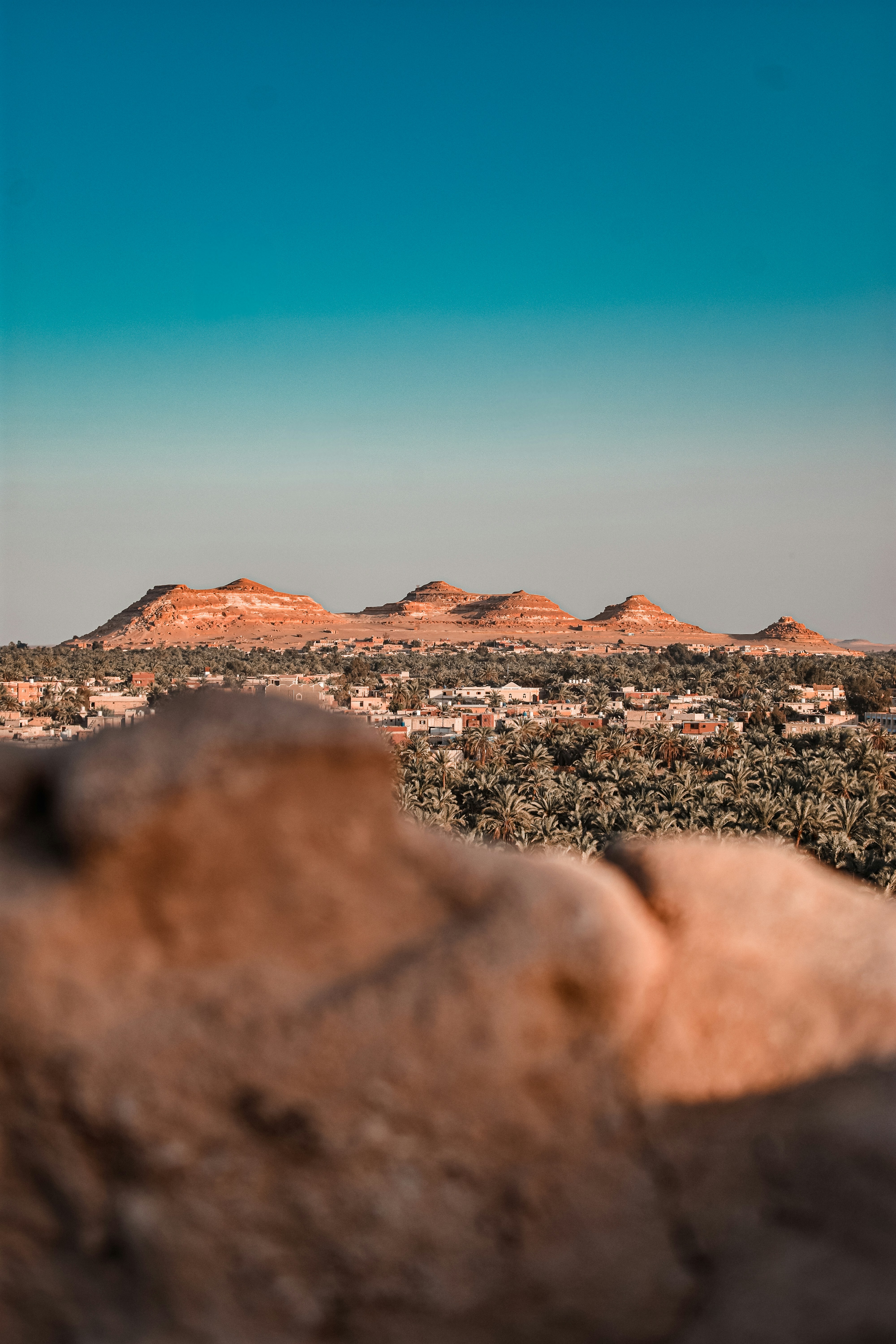 Photo by nourhan_m_sabek