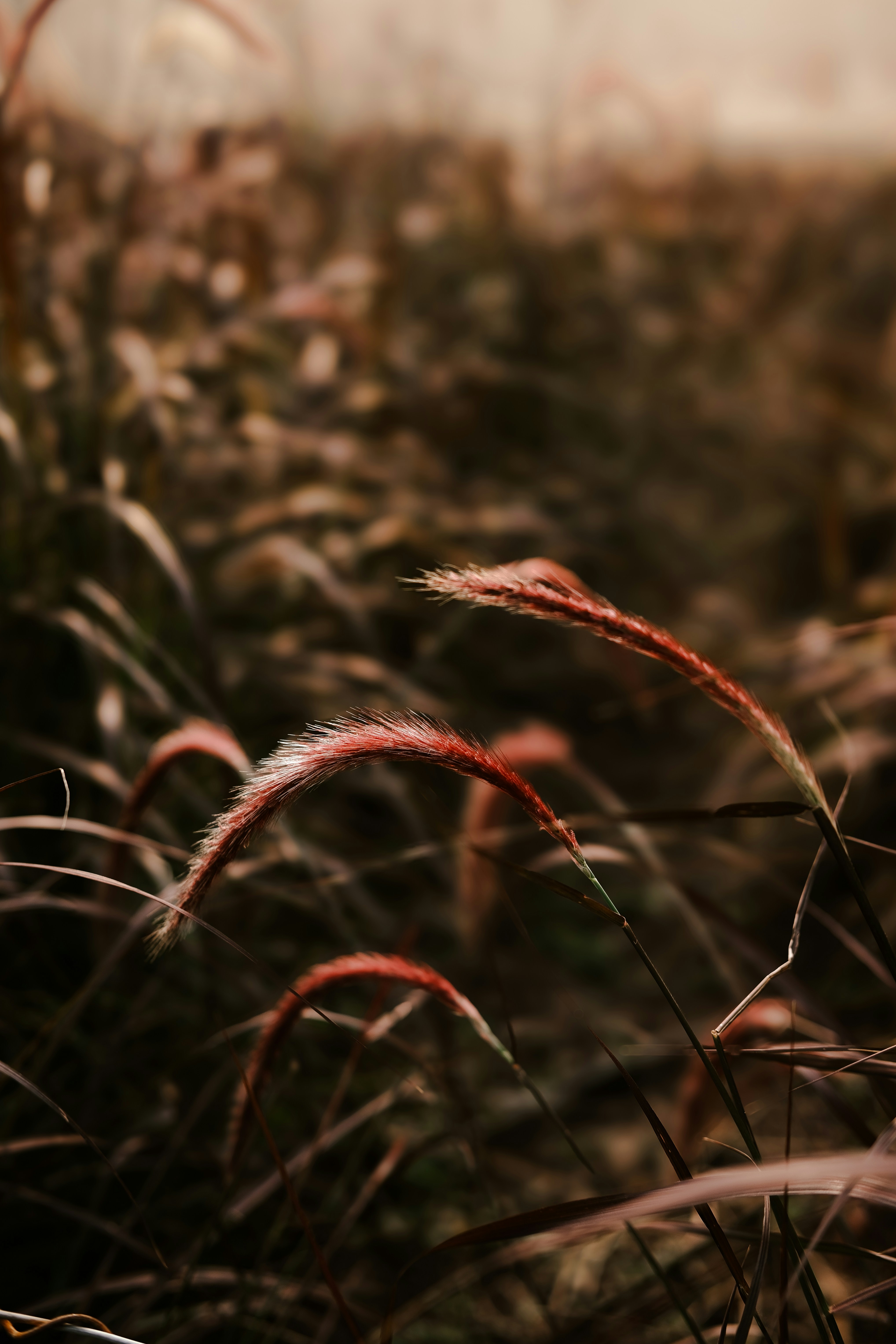 Photo by nganduong93