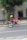 Motorcyclist performs a wheelie on a city street.