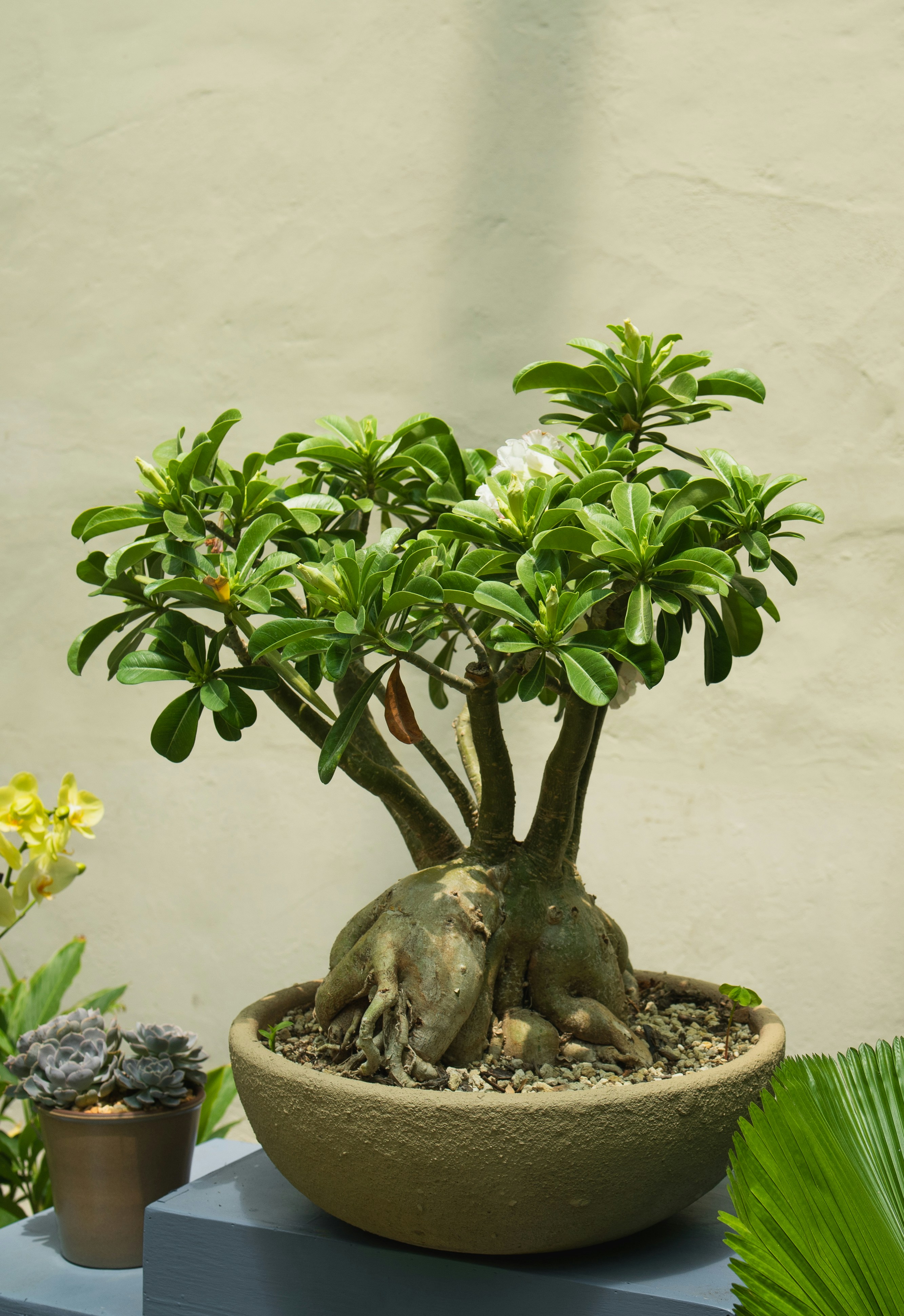 Photo by alanmoraales