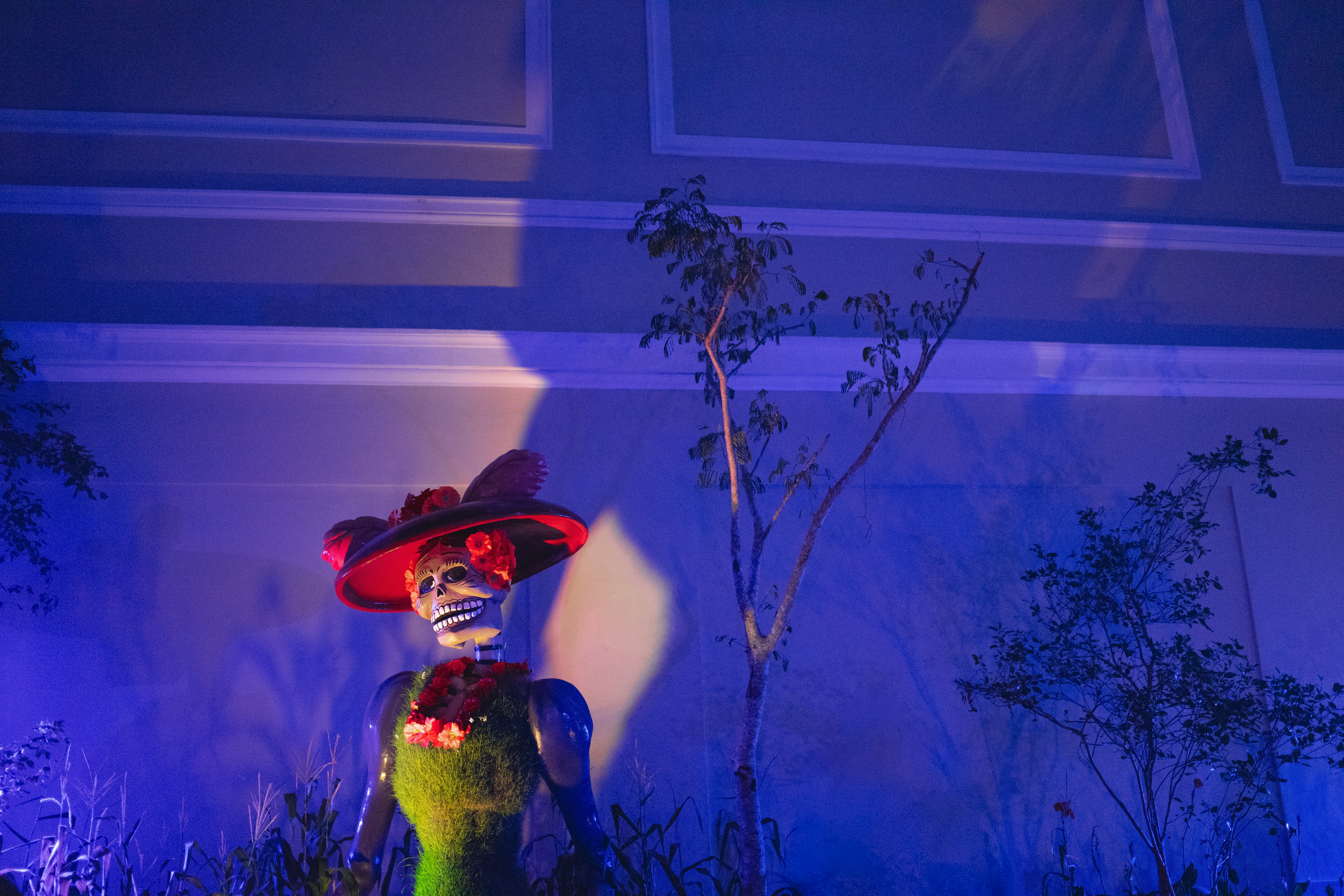 Los viajes de Kasam Kasu