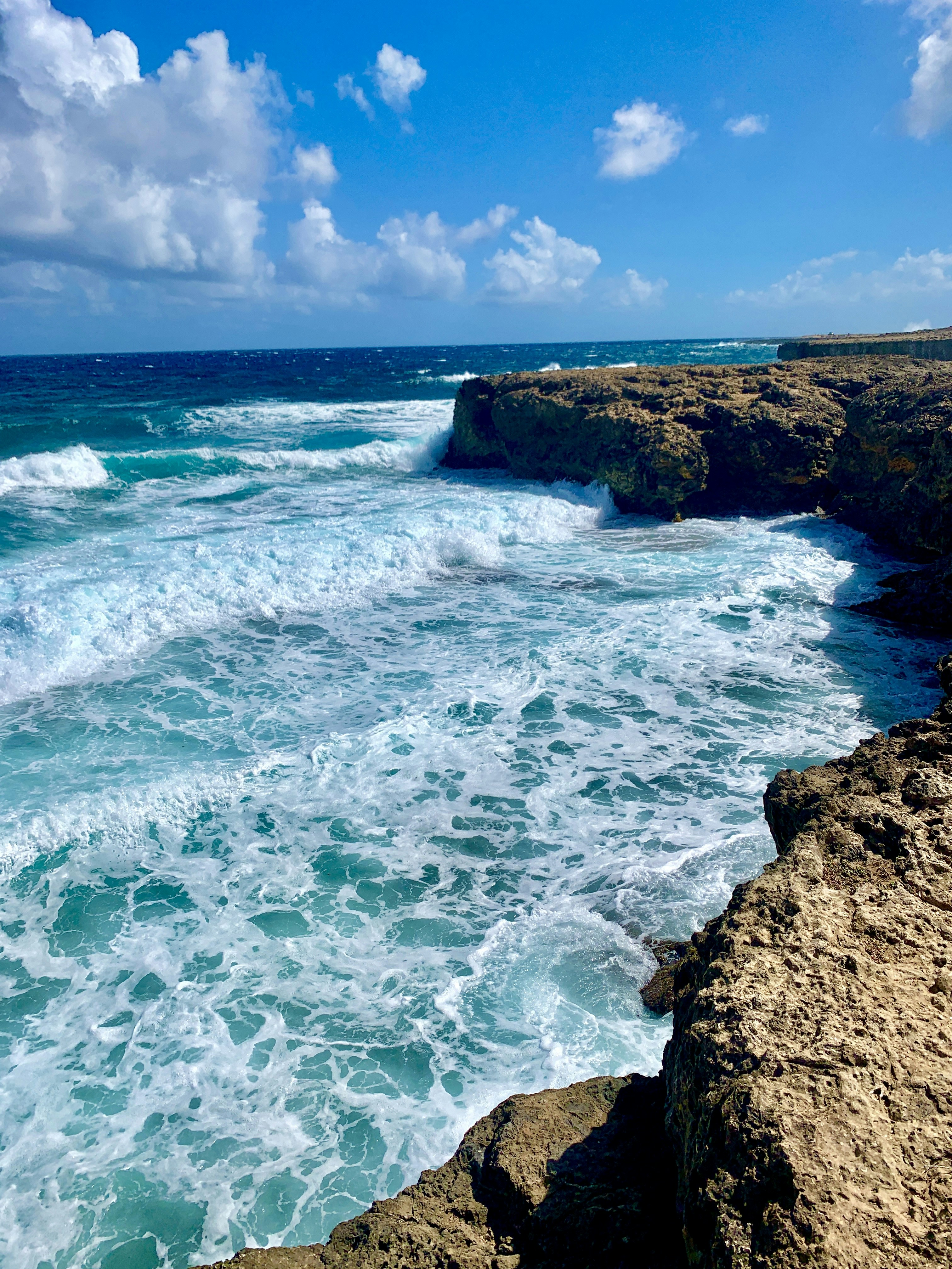 Photo by amandamorehouse7