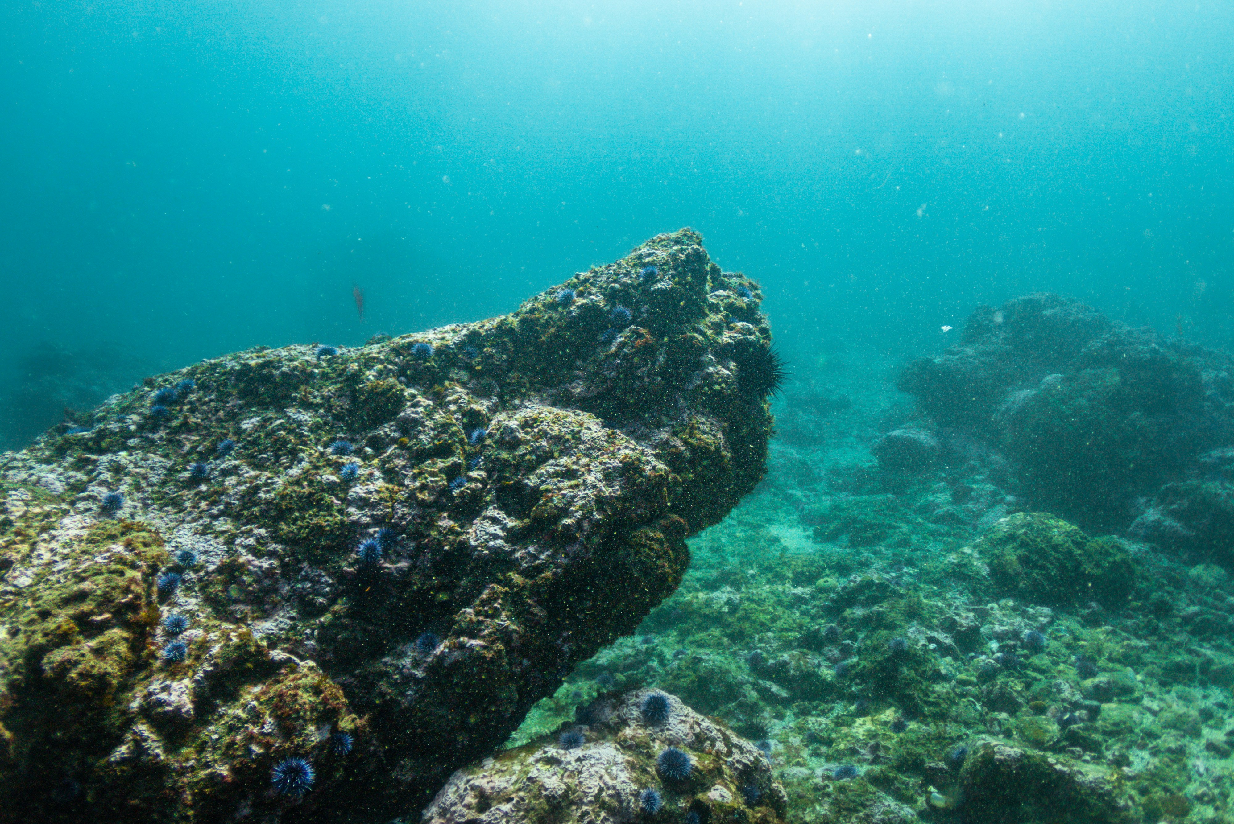 Photo by ejmoralesoyola