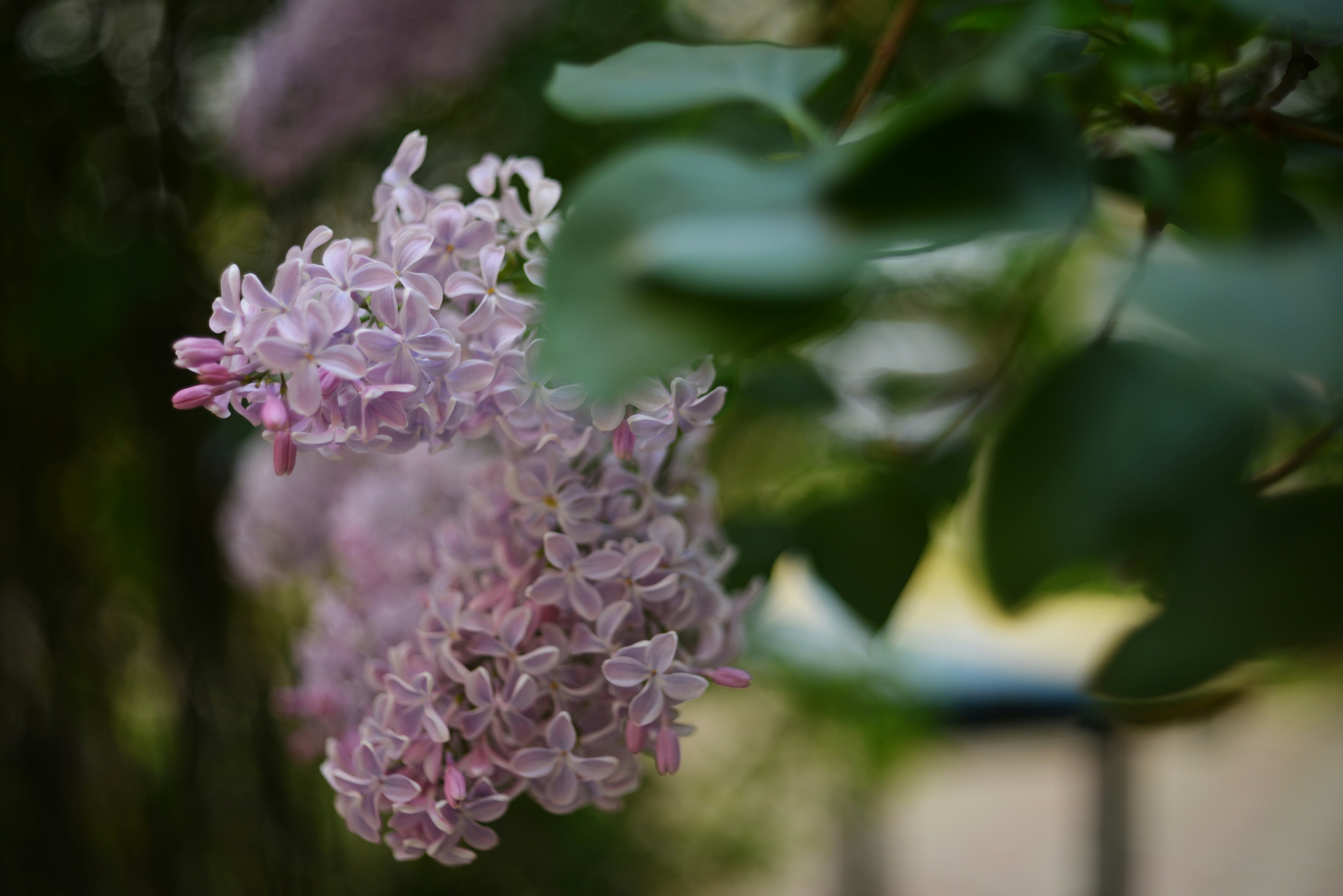 Photo by cherstve_pechivo