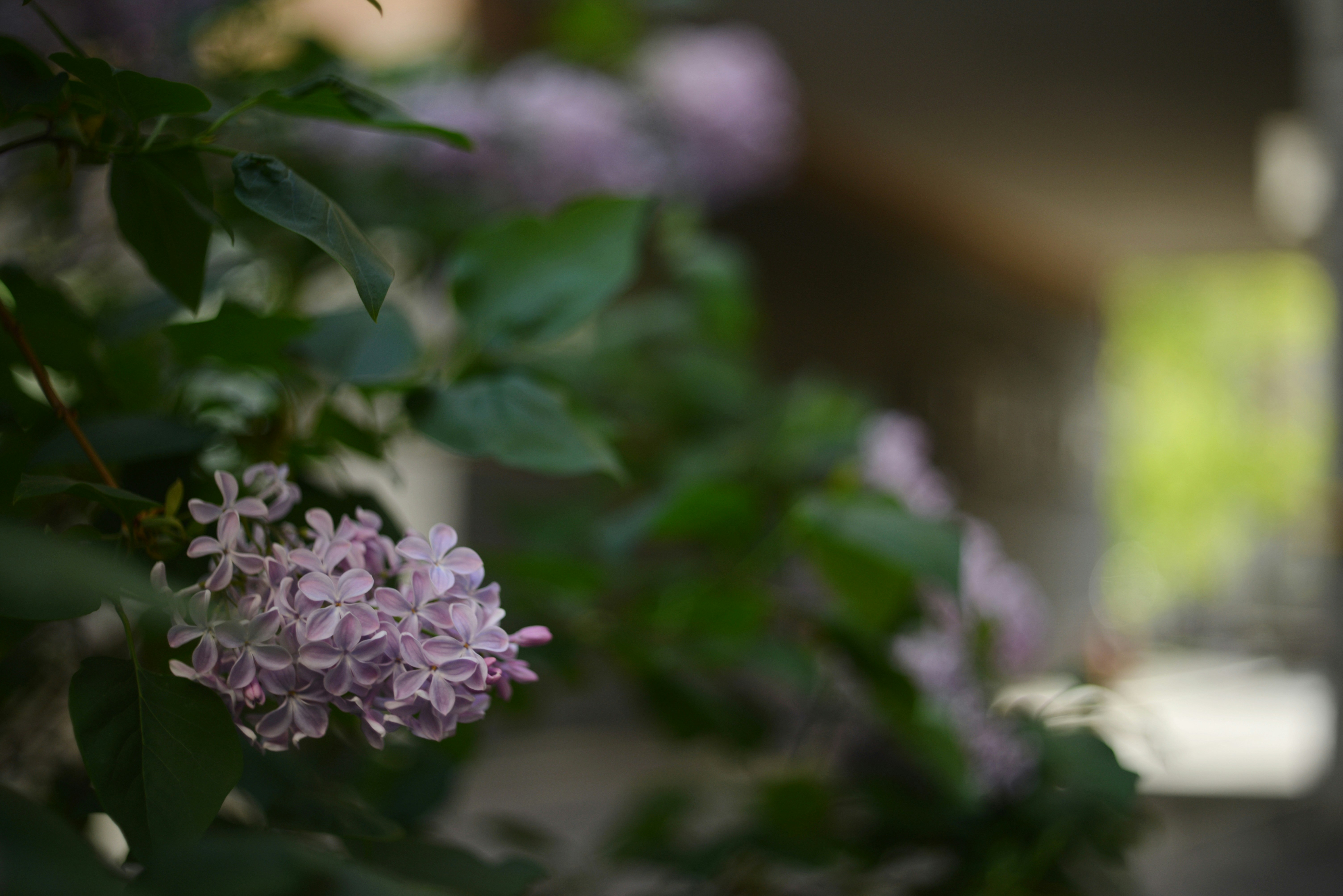 Photo by cherstve_pechivo