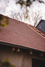 A red tiled roof with a ladder.