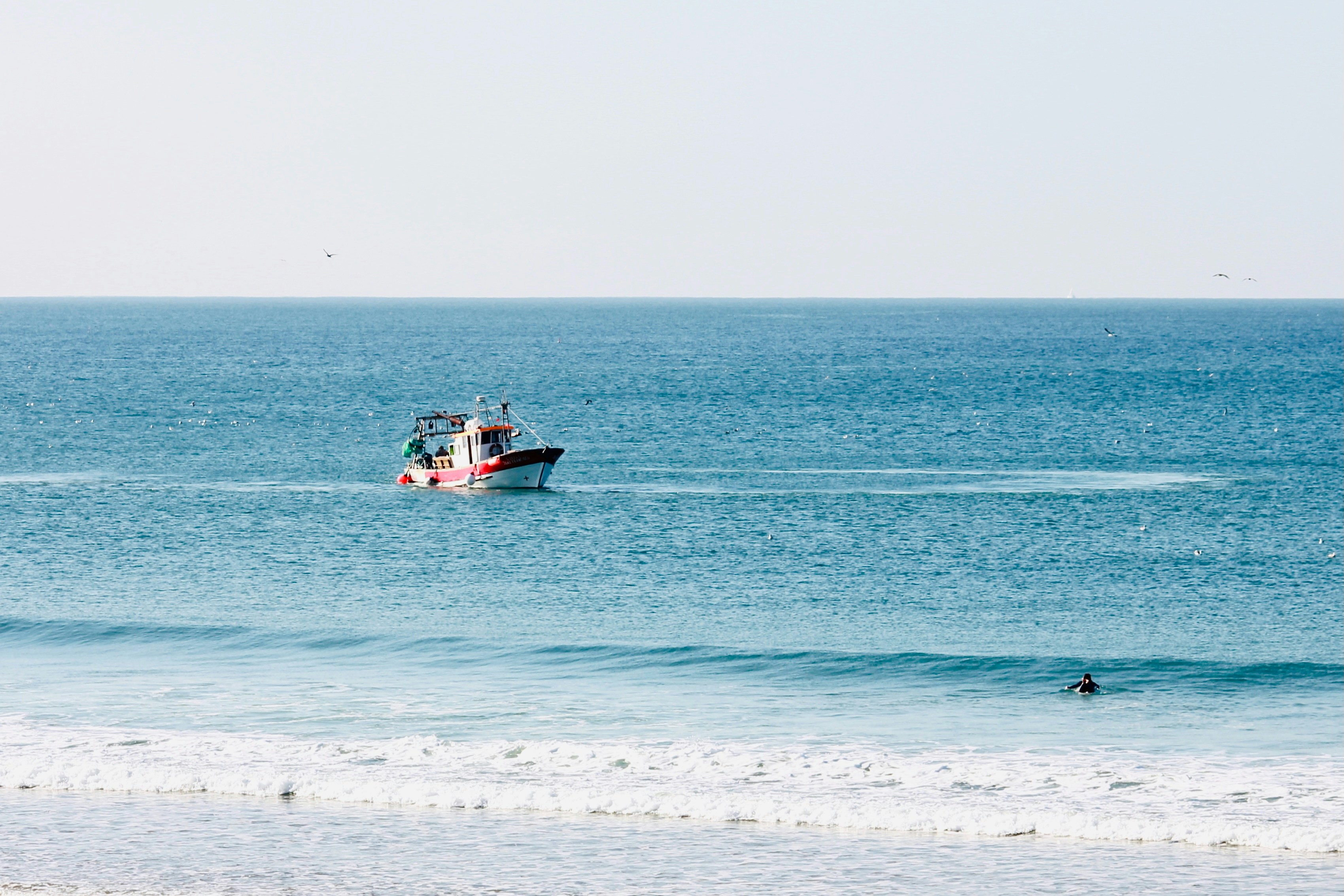 Photo by ivosouzamartins