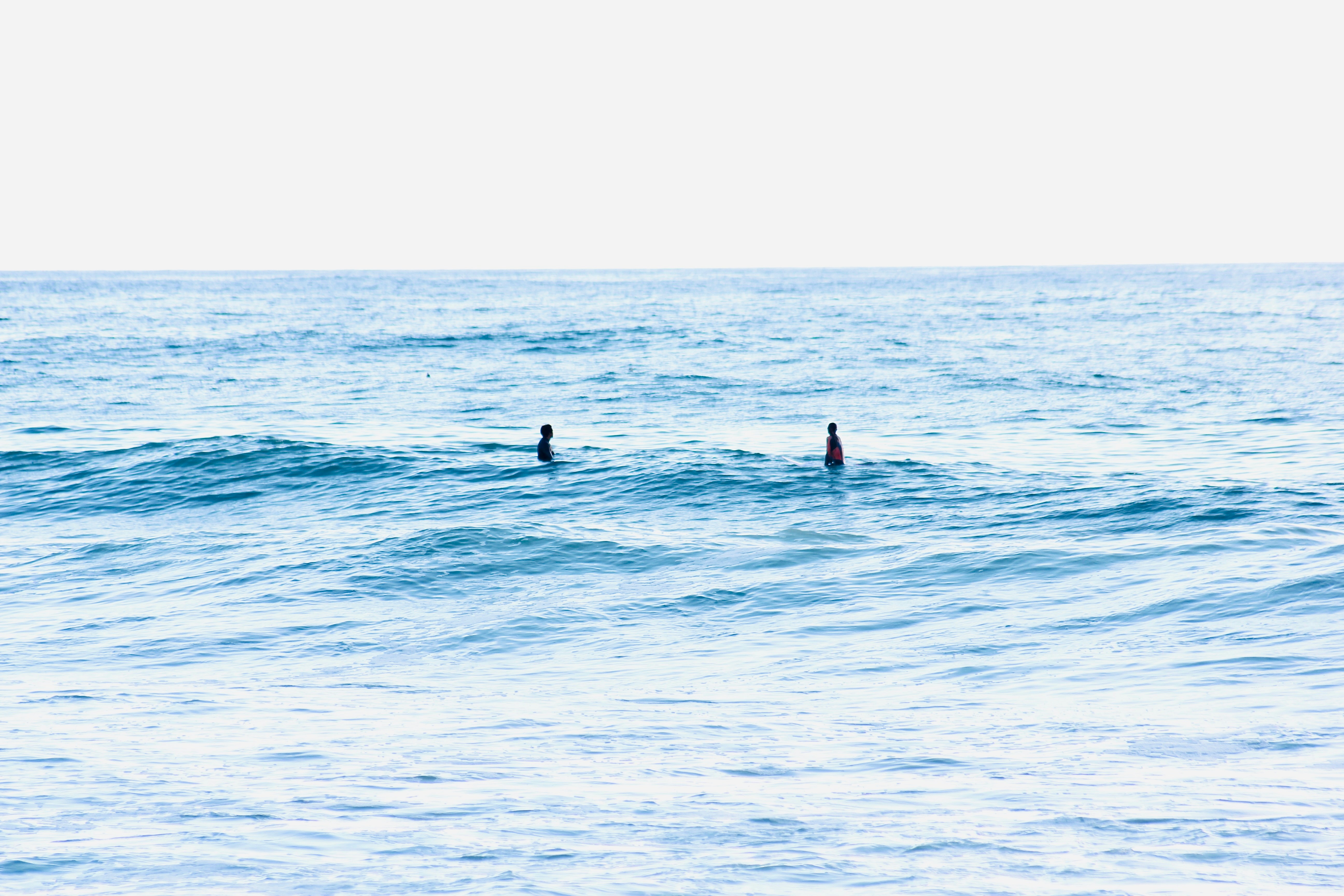 Photo by ivosouzamartins