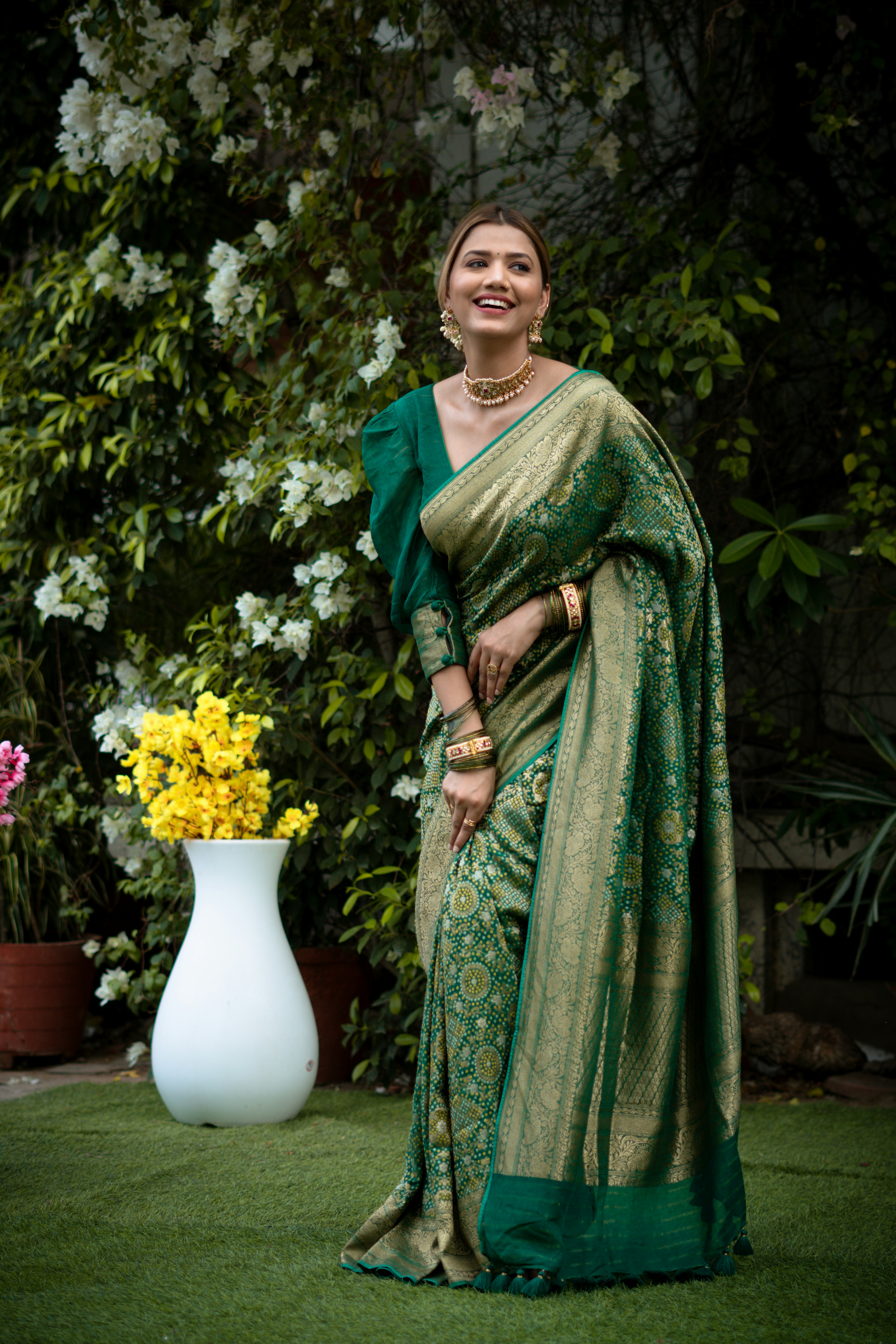Beautiful Traditional Saree Details