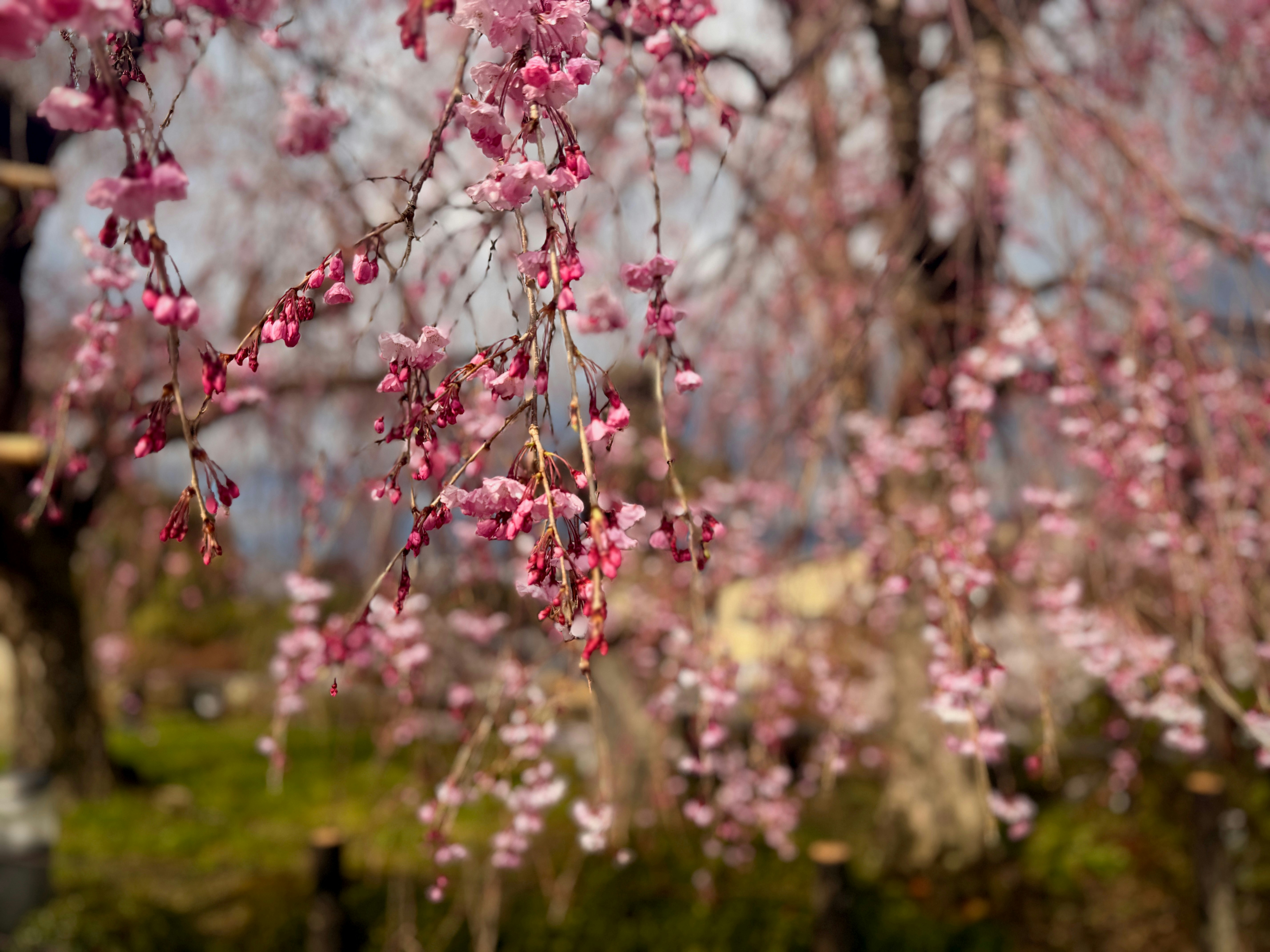 Photo by kitkatlandscapes