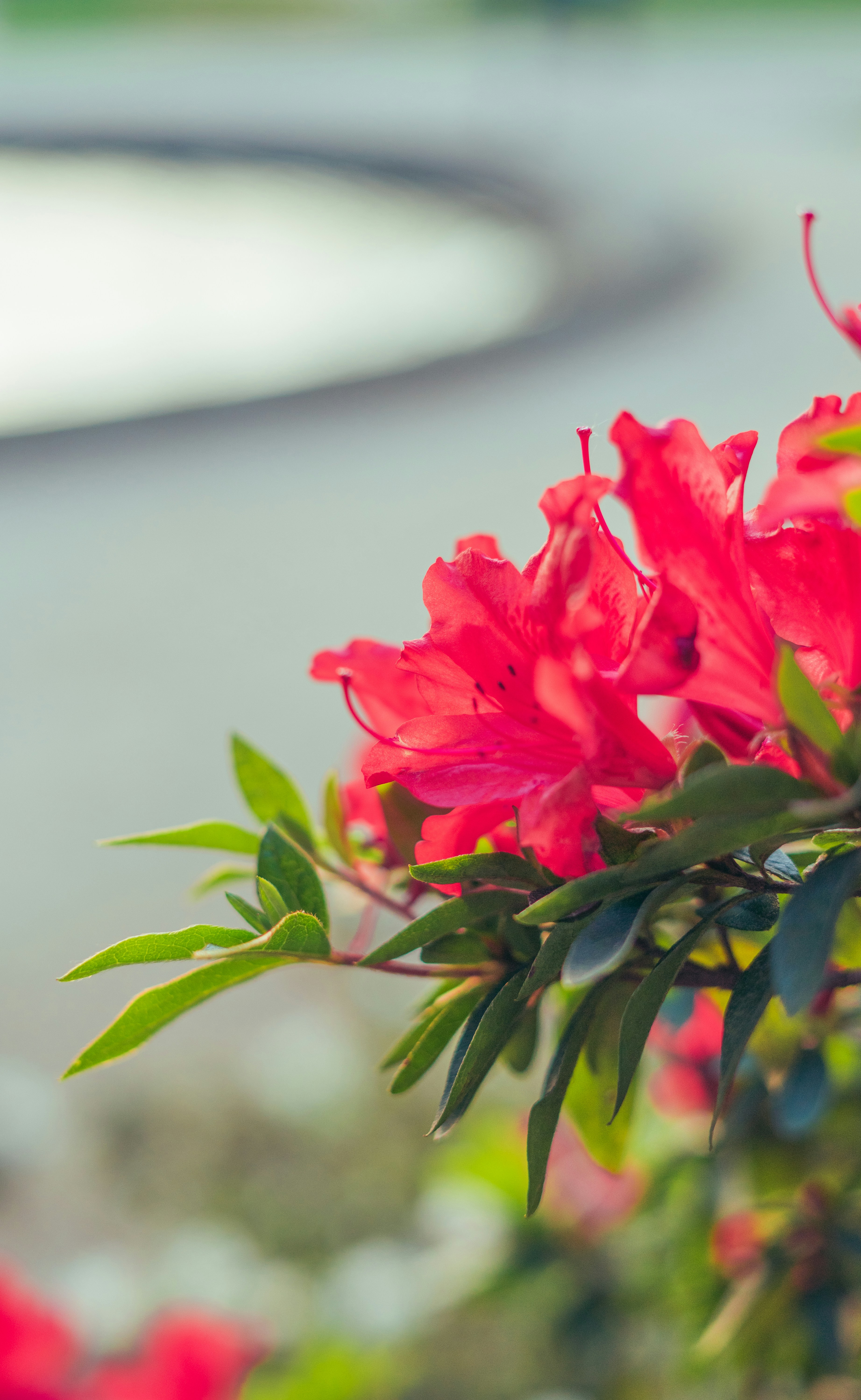 Photo by kellyphotosx