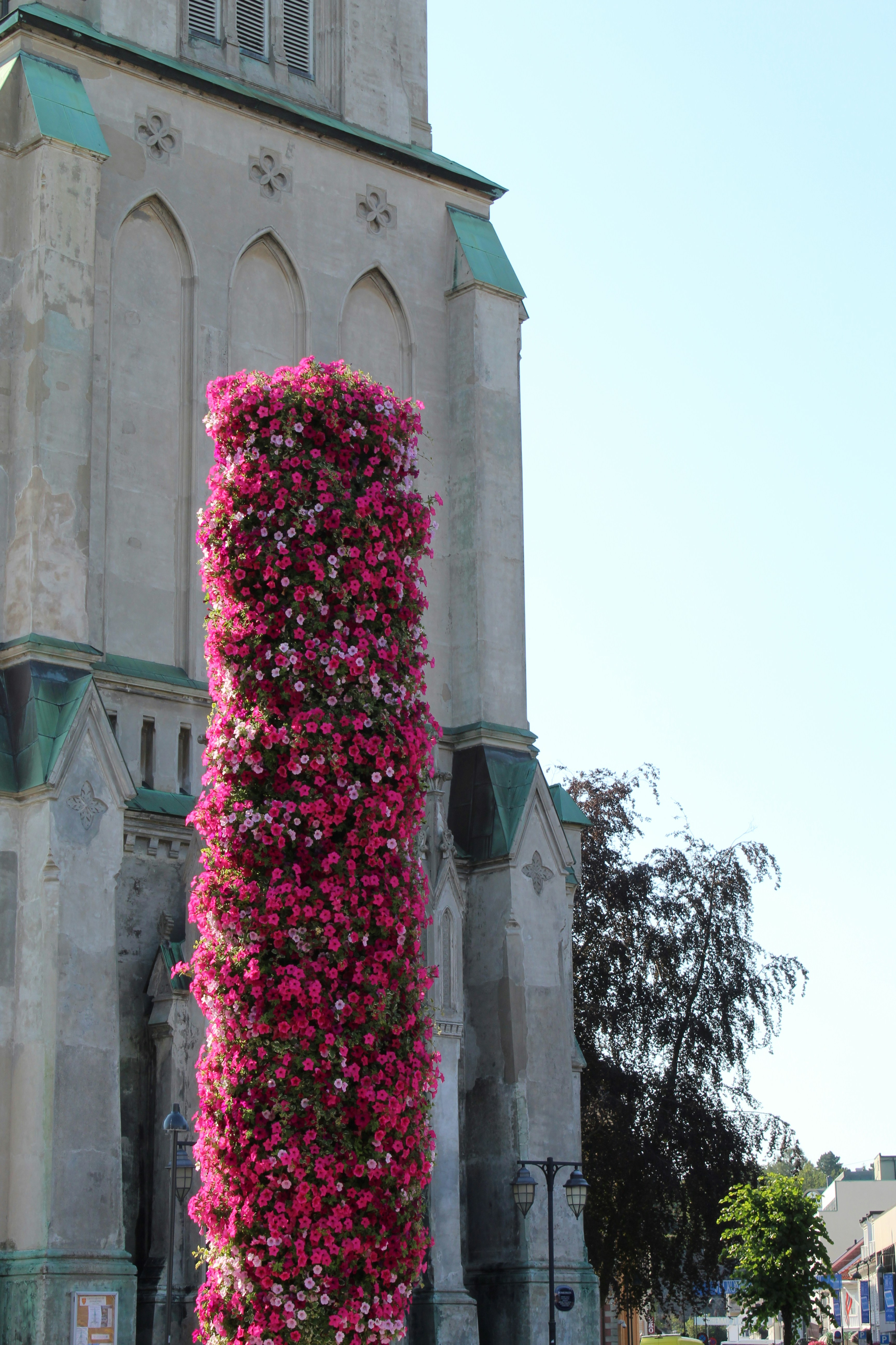 As flores desabrocham ao lado de uma igreja alta.