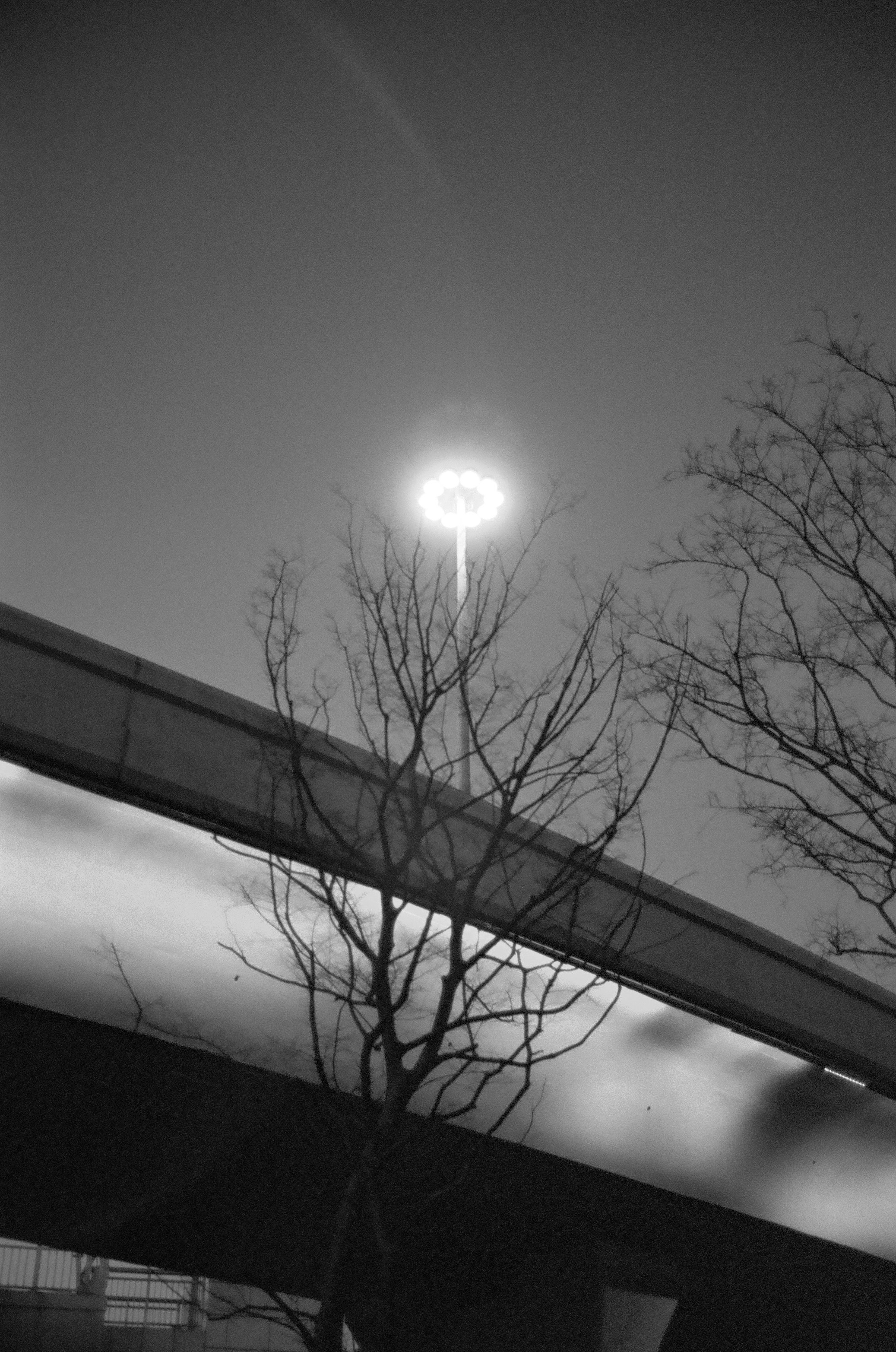 Photo by kennyzhang29