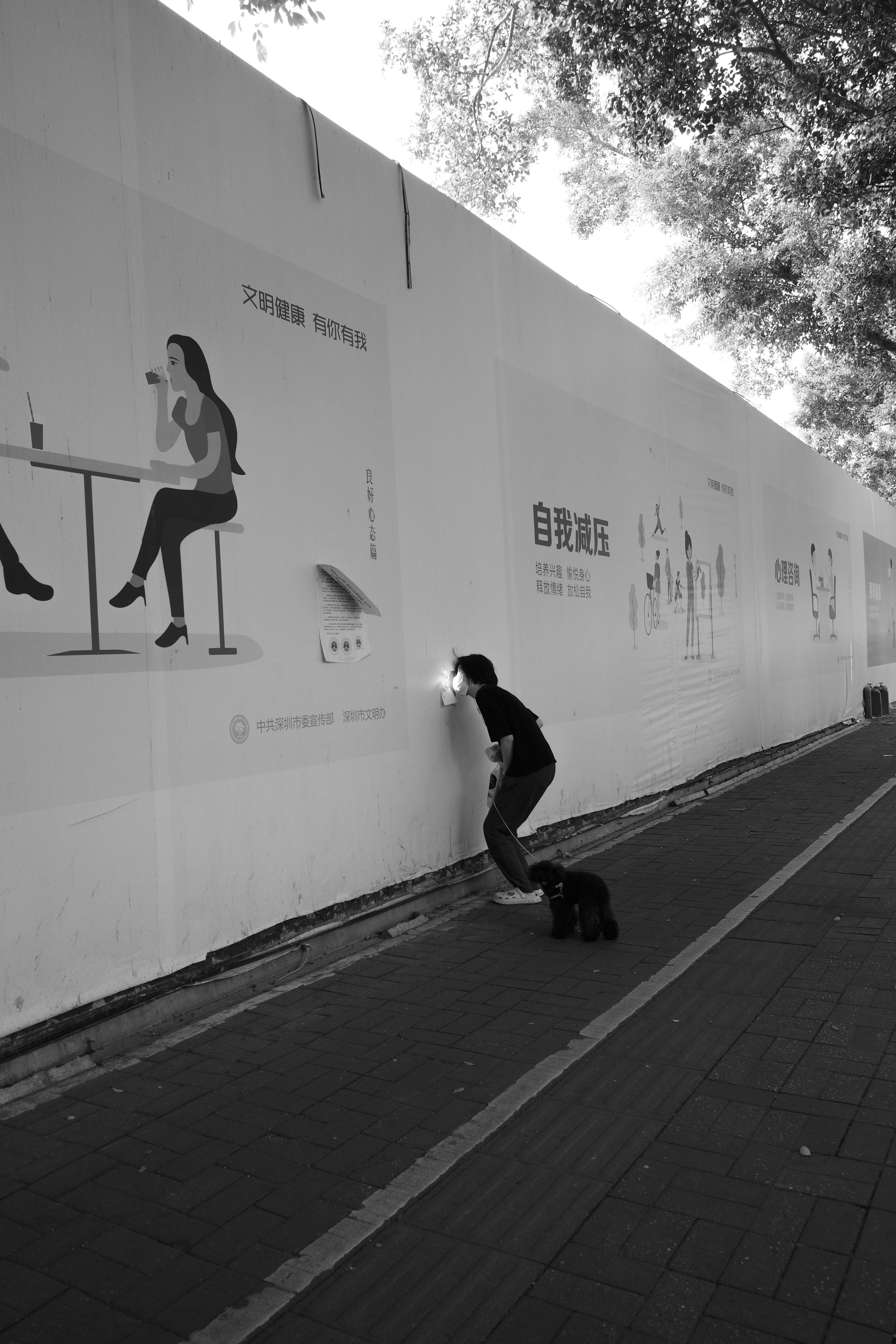 A person and a dog interacting beside a wall
