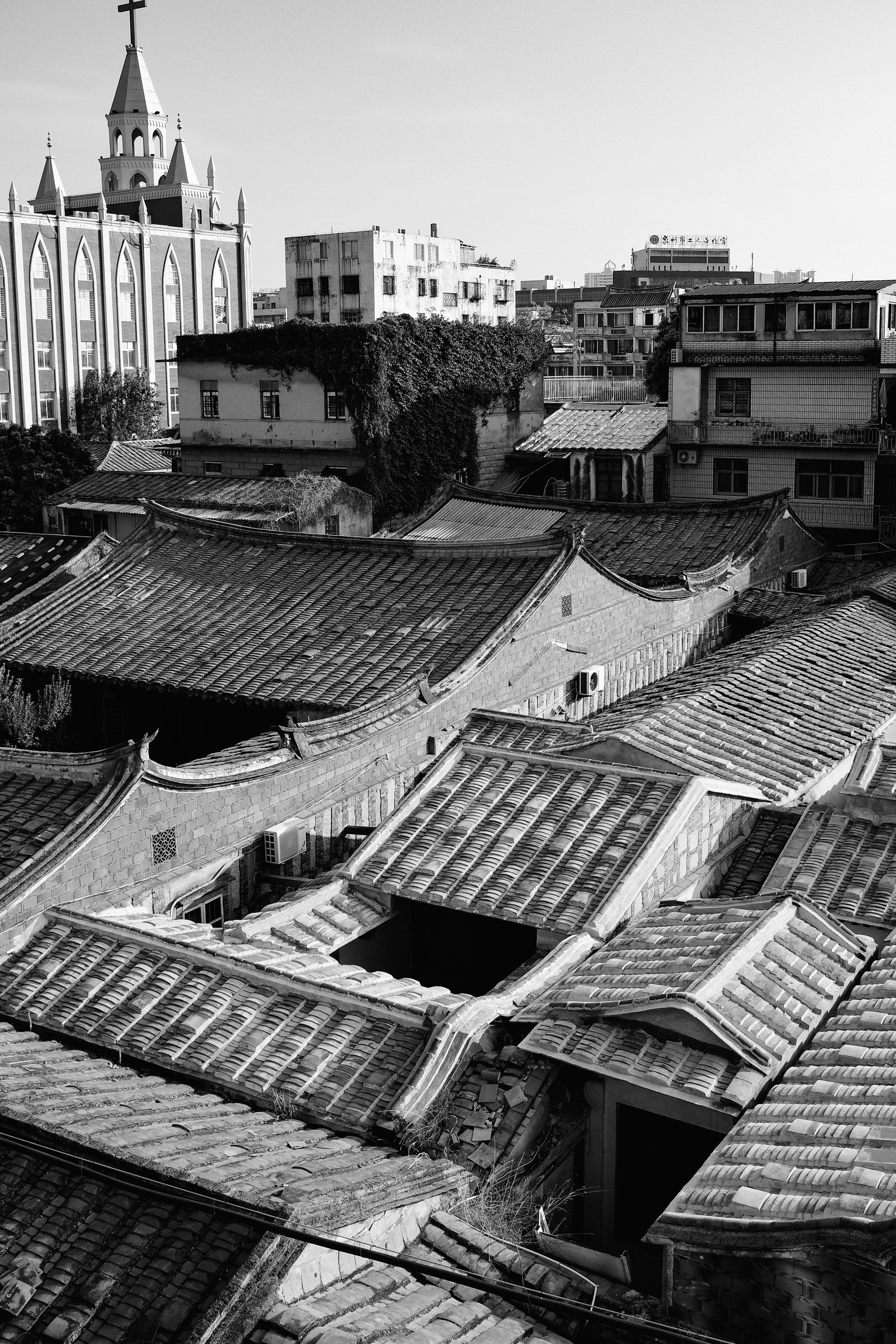 Photo by kennyzhang29