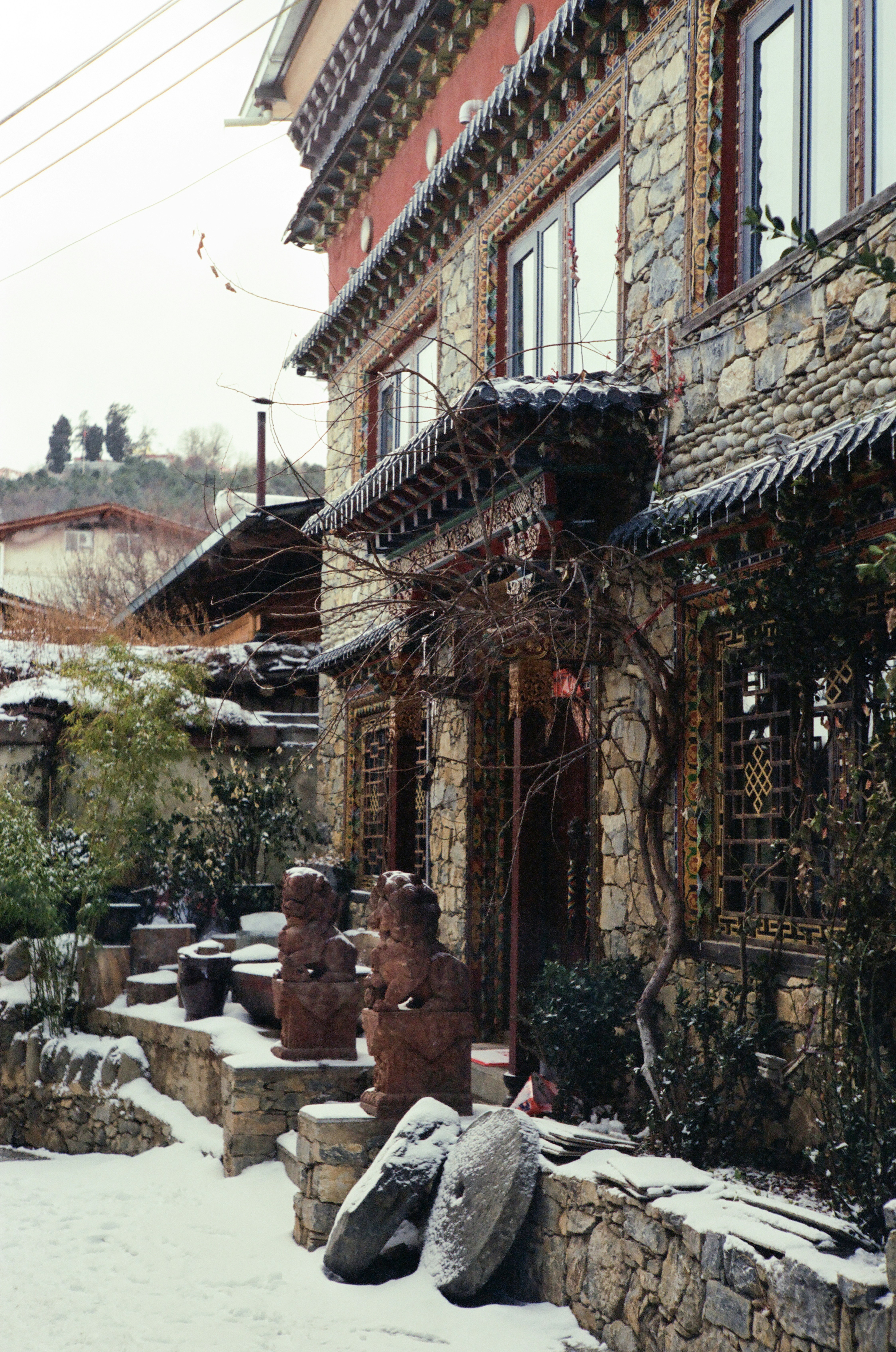 Photo by kennyzhang29
