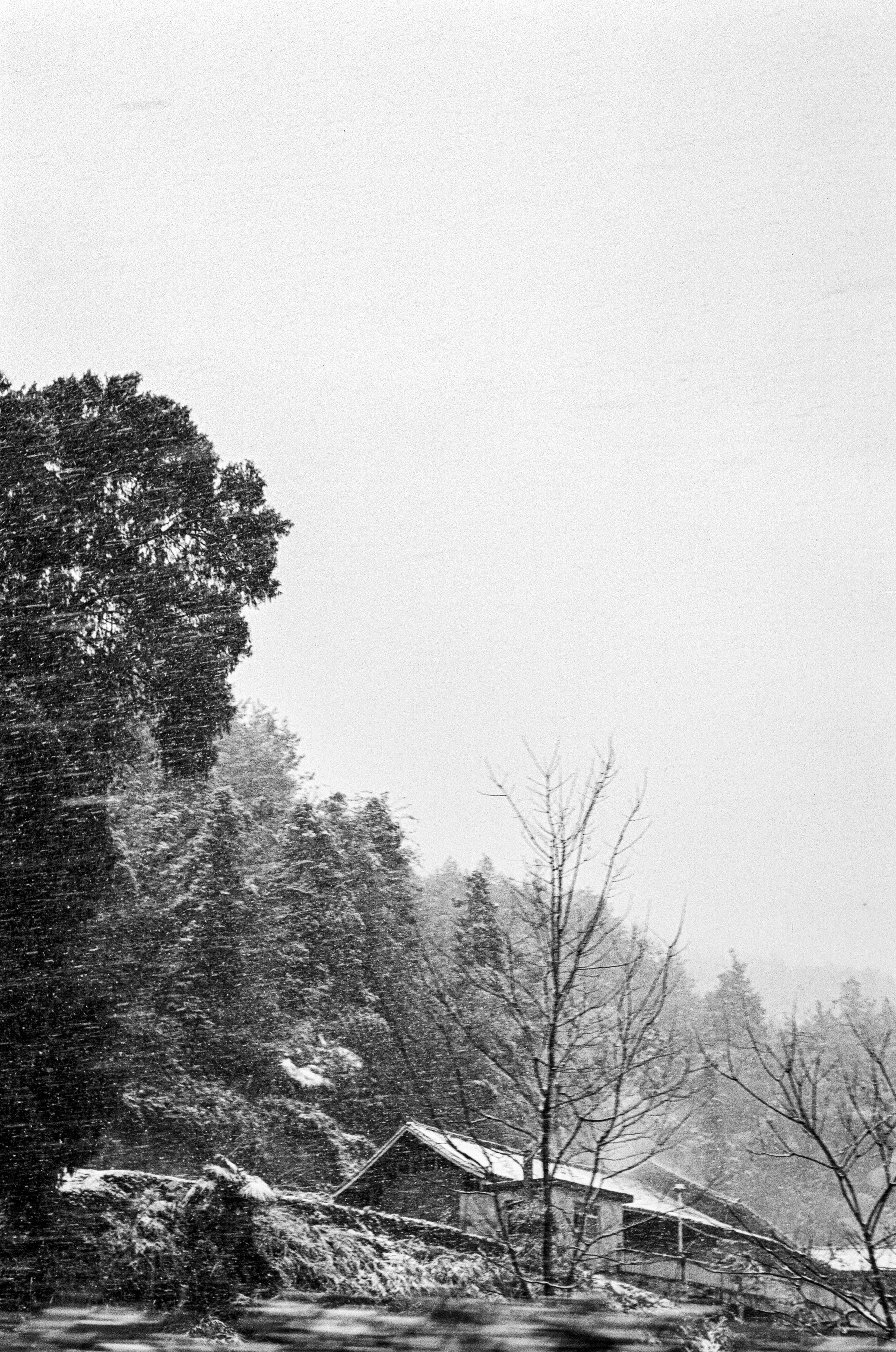 Photo by kennyzhang29