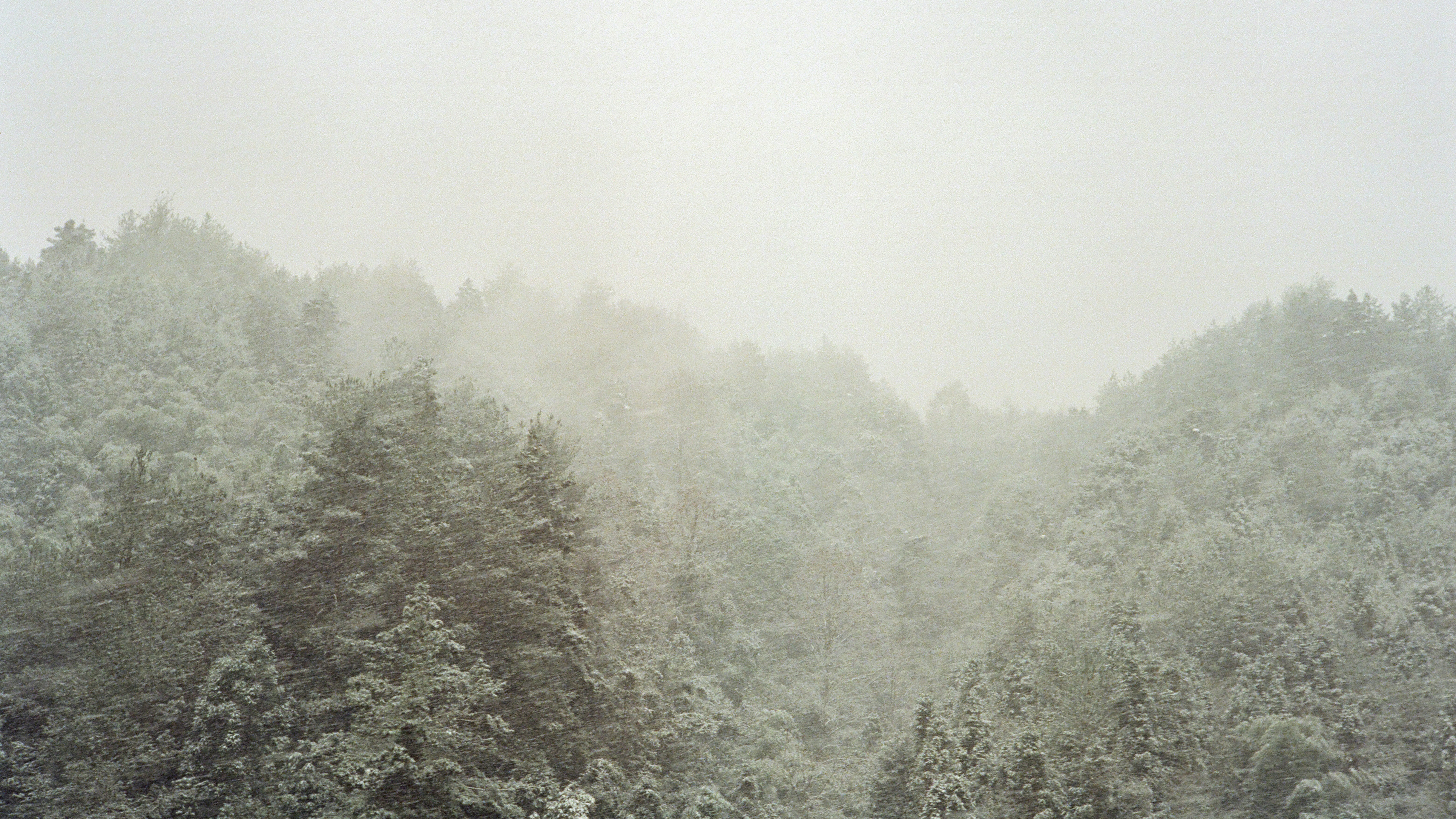 Photo by kennyzhang29