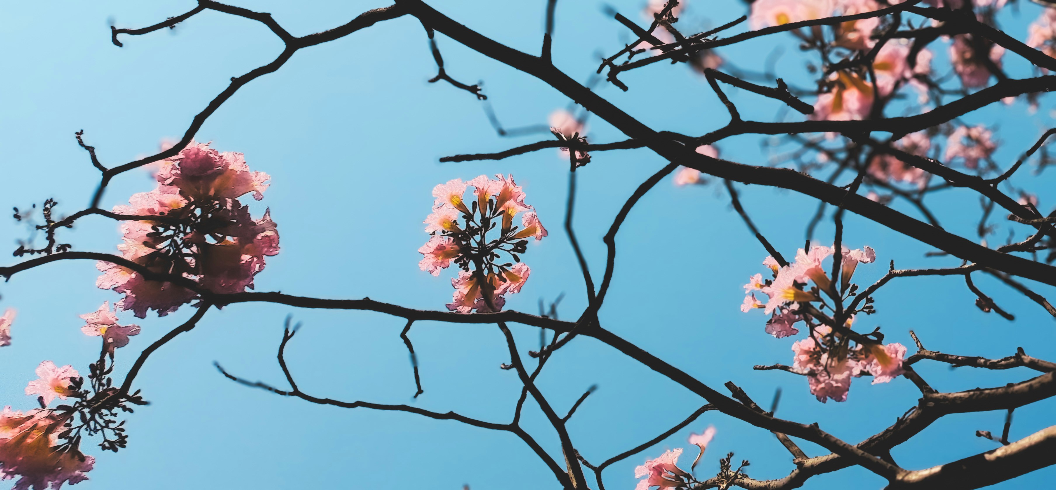 Photo by zablanca_clicks