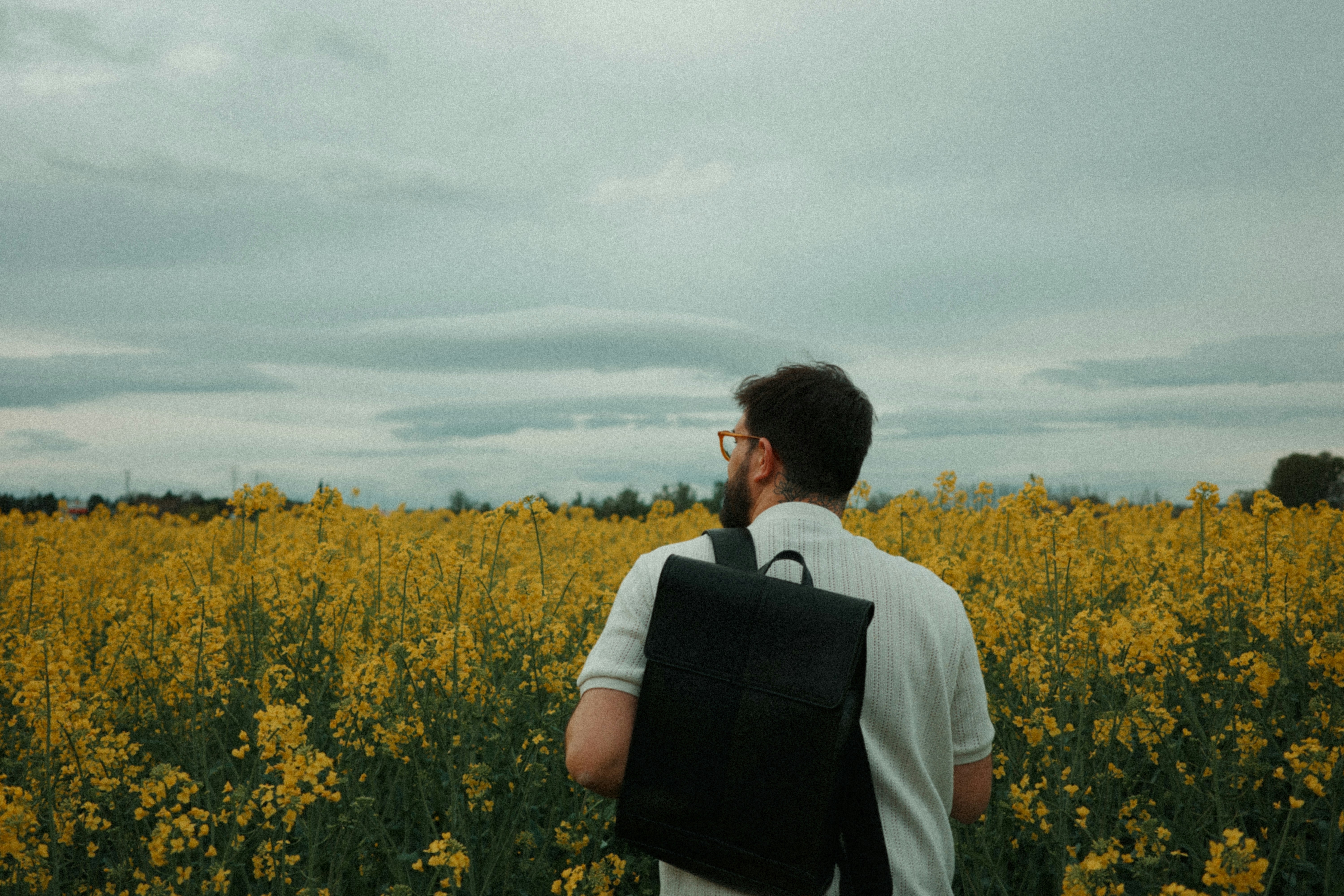 Man stands in a yellow field, looking ahead.