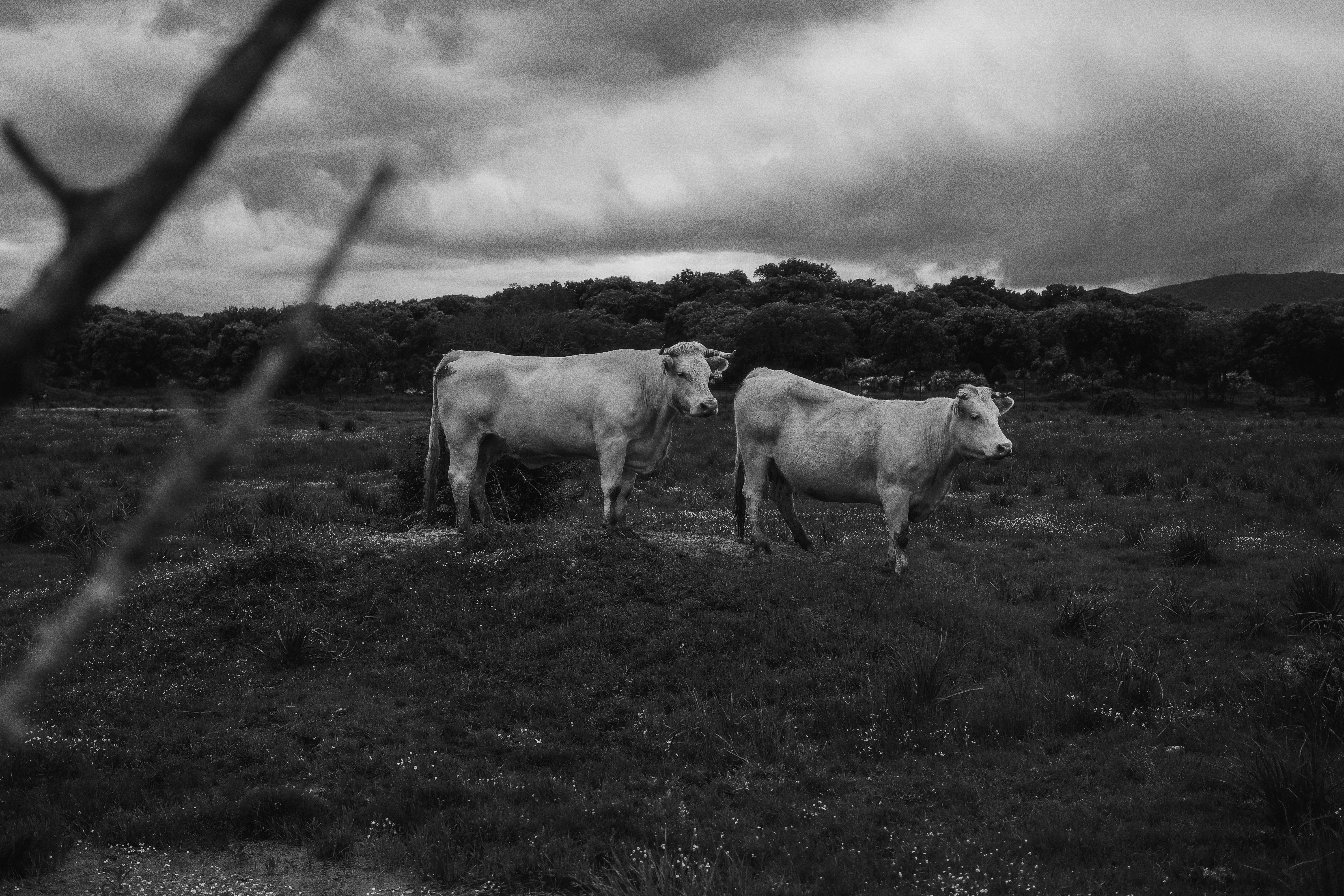 Photo by dreamshunter94