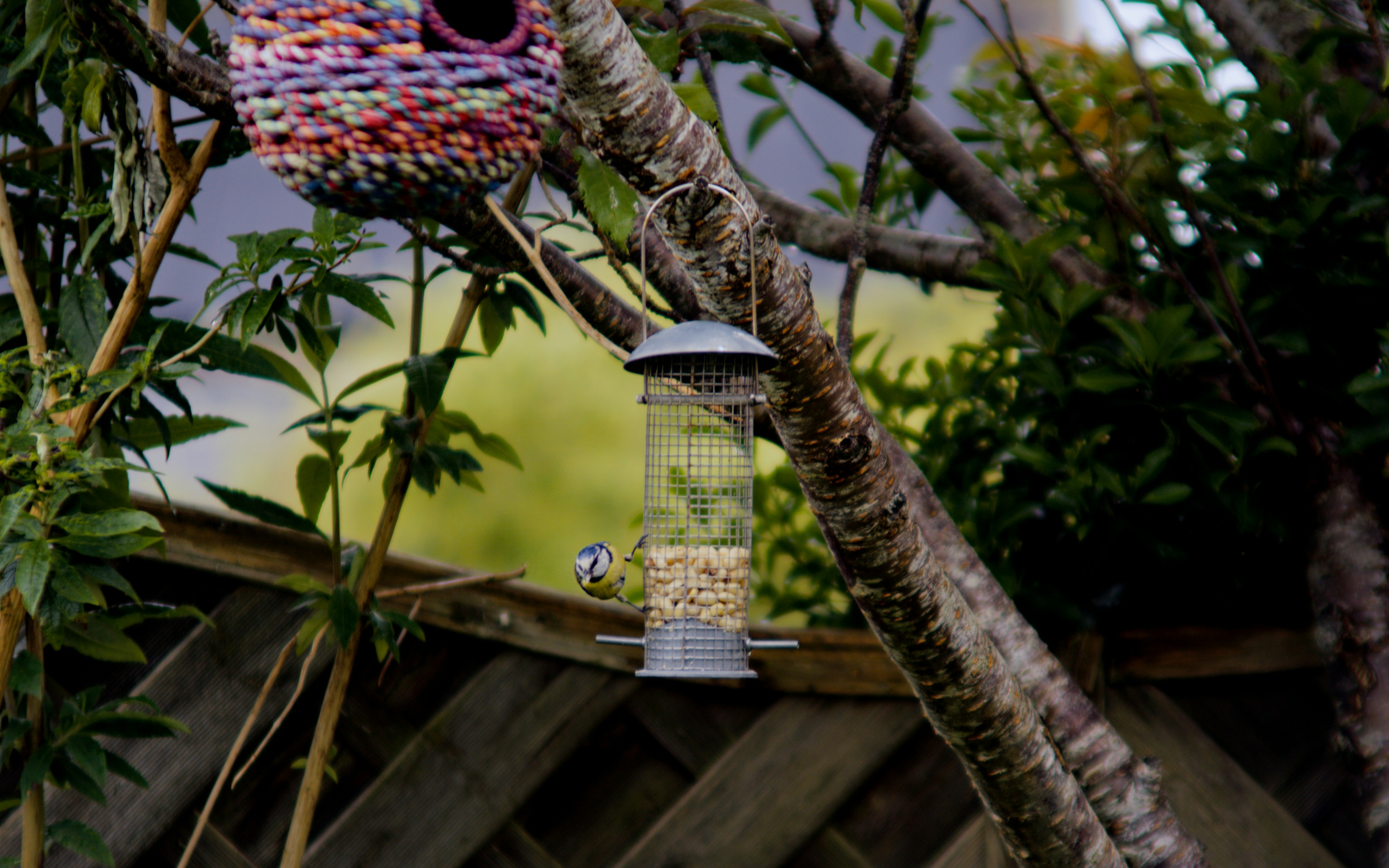 Photo by dotdavisphotography