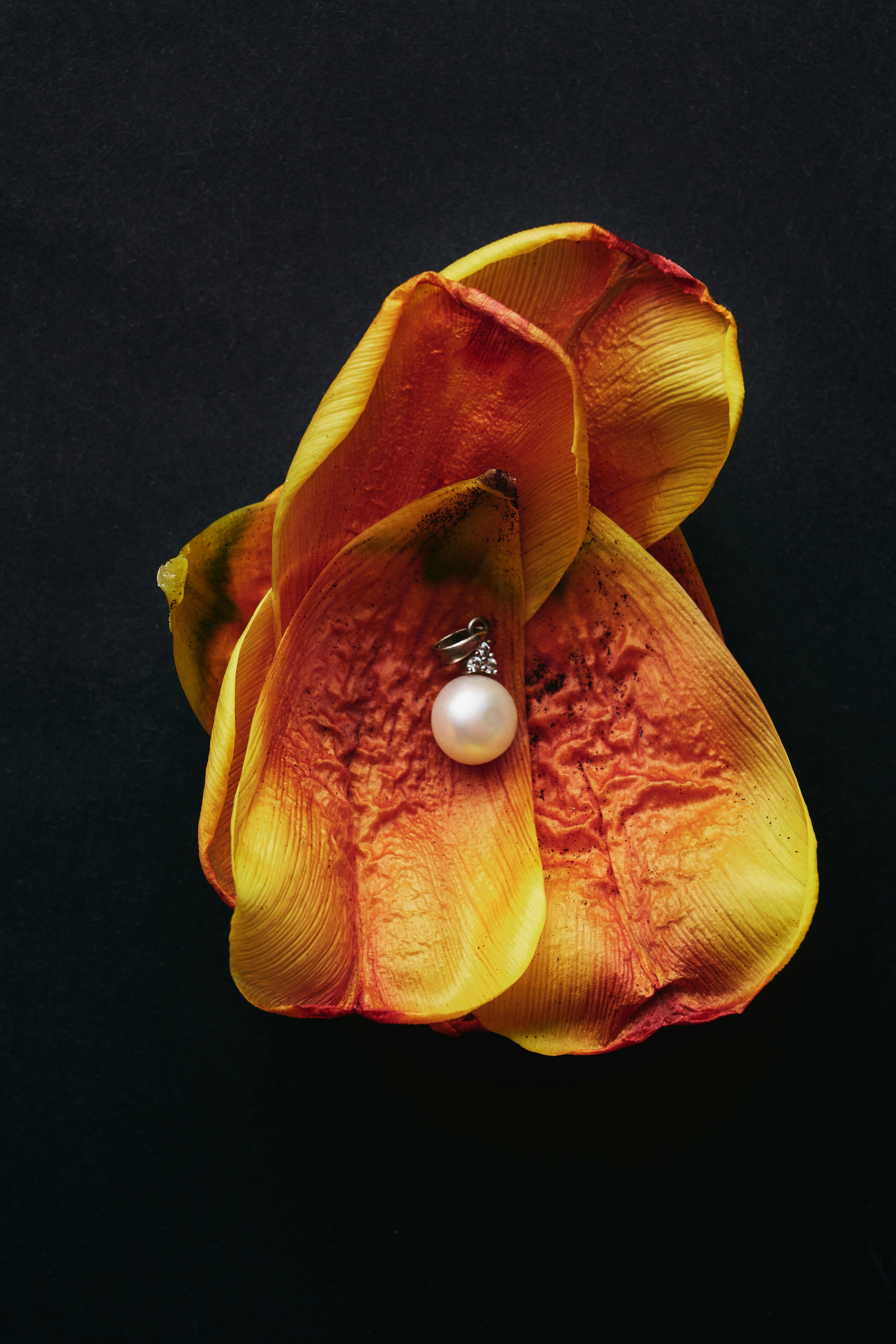 パールとダイヤモンドのペンダントが花びらの上に置かれています。