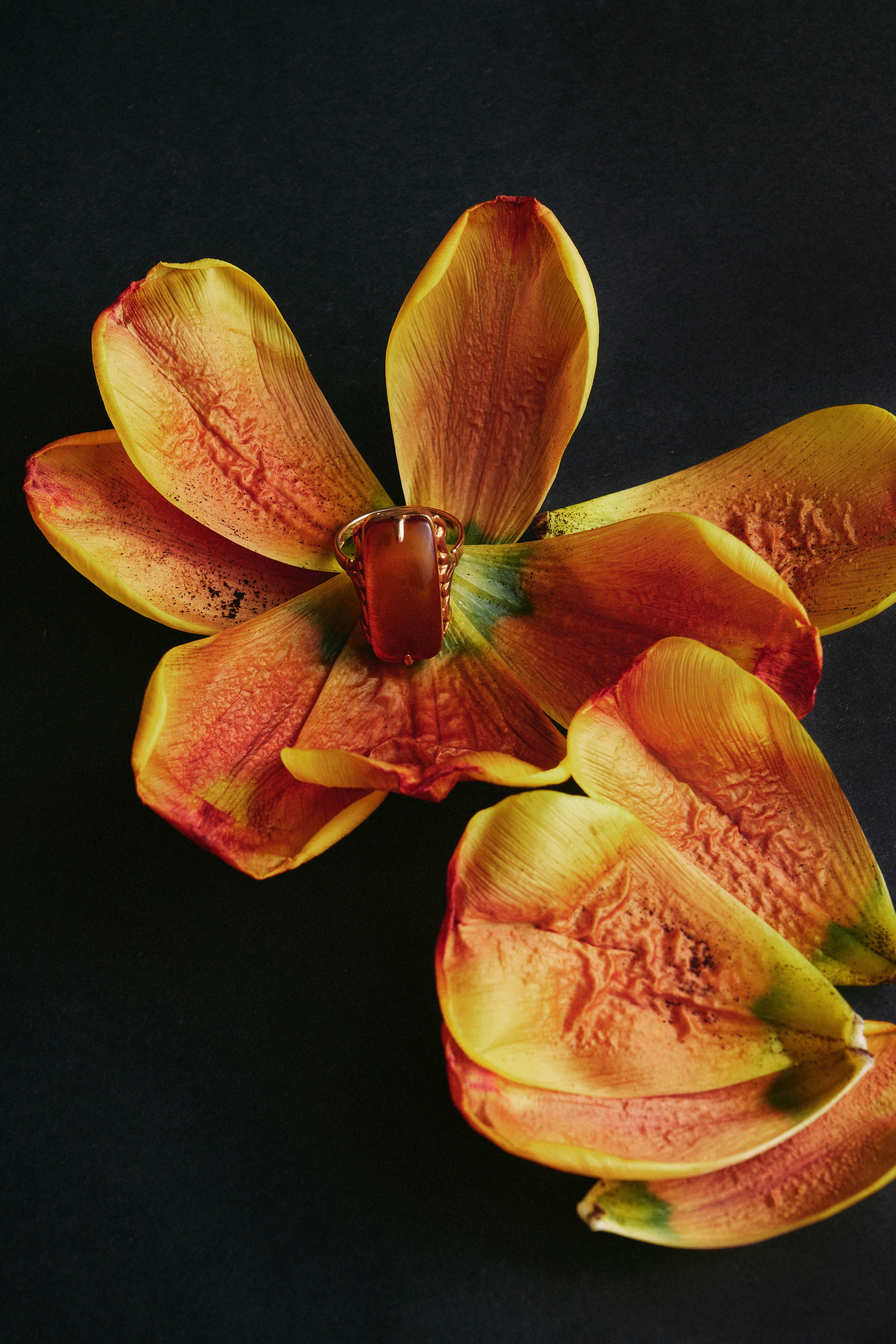 Accessori Per Violino Poggia Mento Per Violino In Legno Di - Foto 9