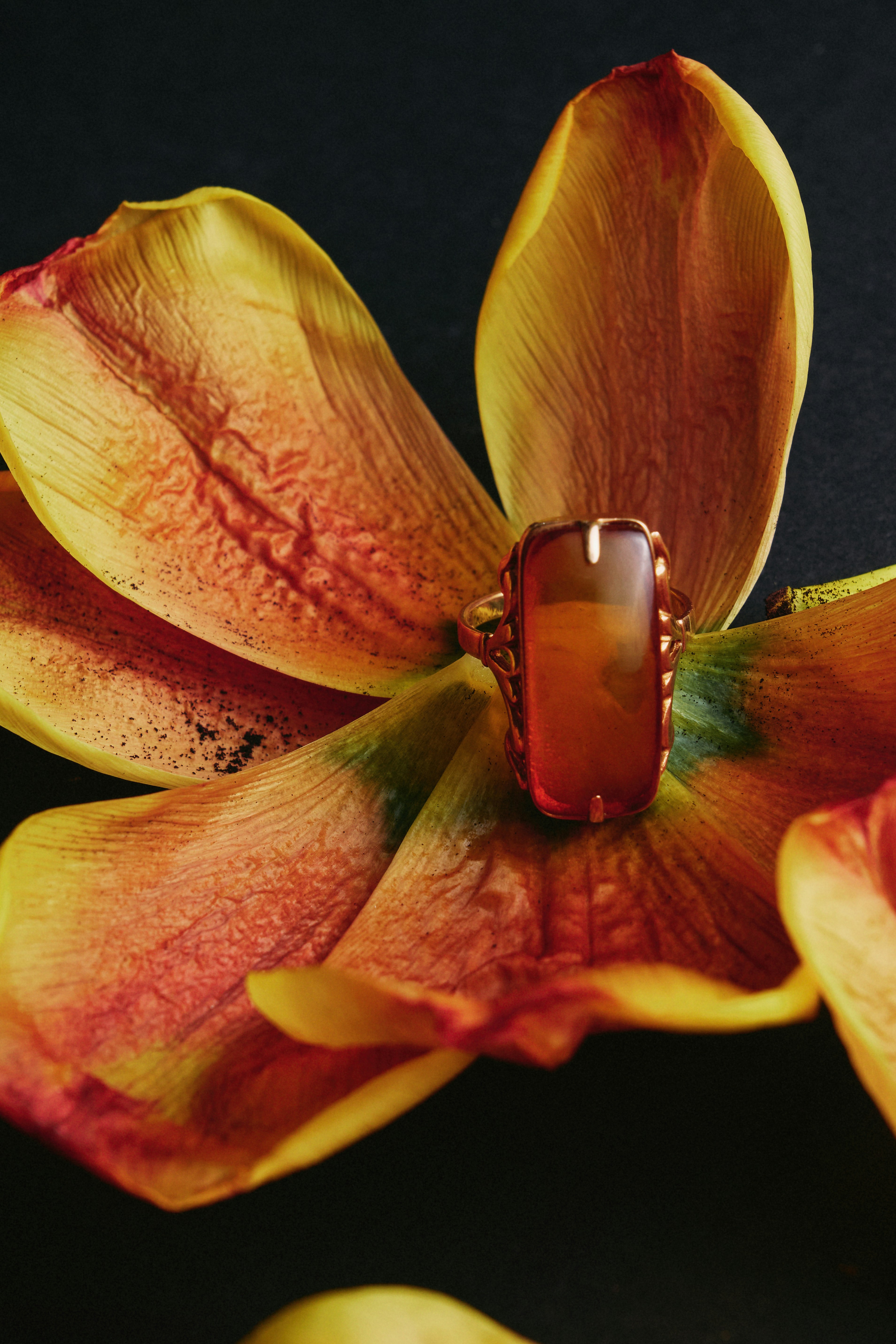 リングは花びらの上に置かれています。