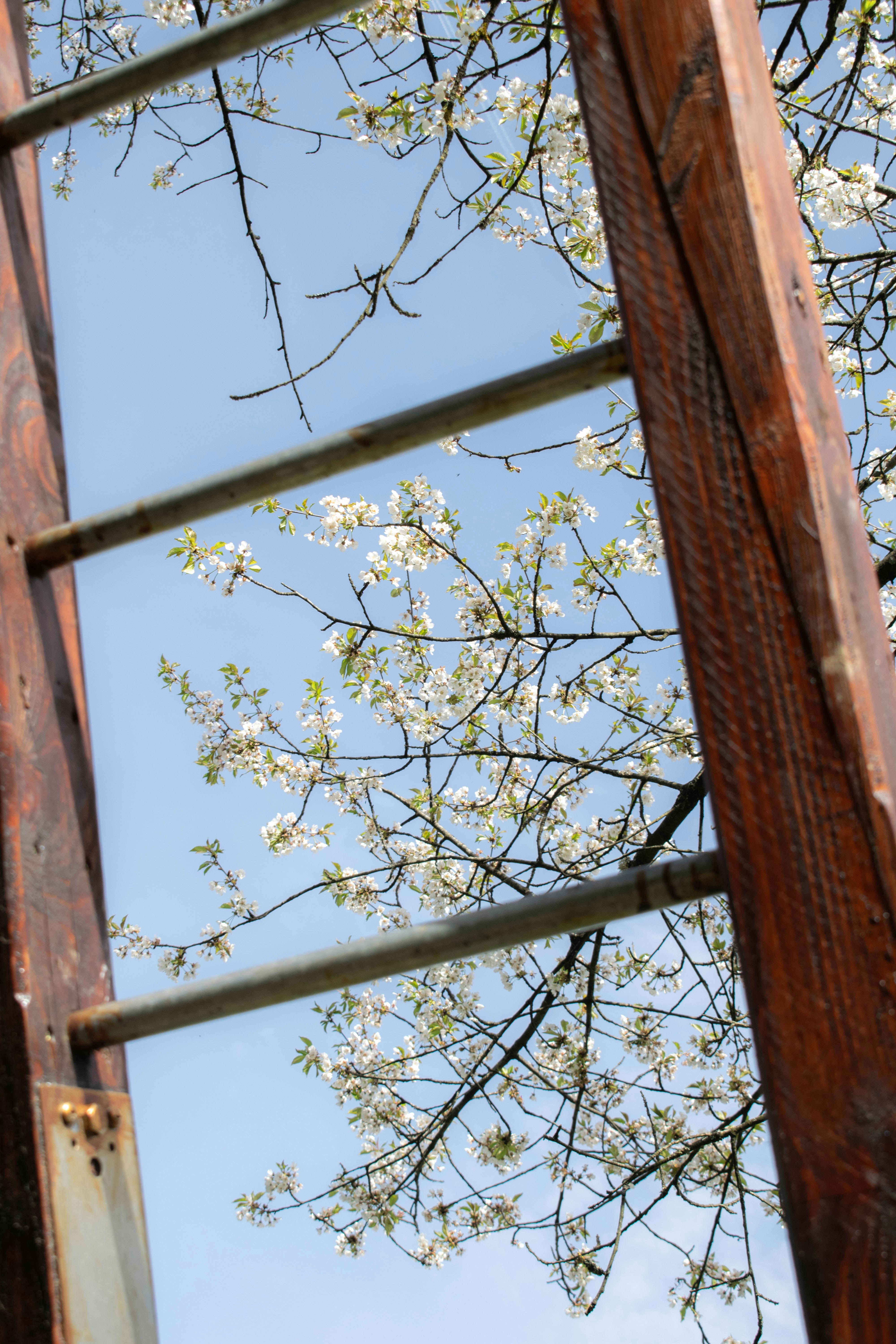 Photo by alexandre13