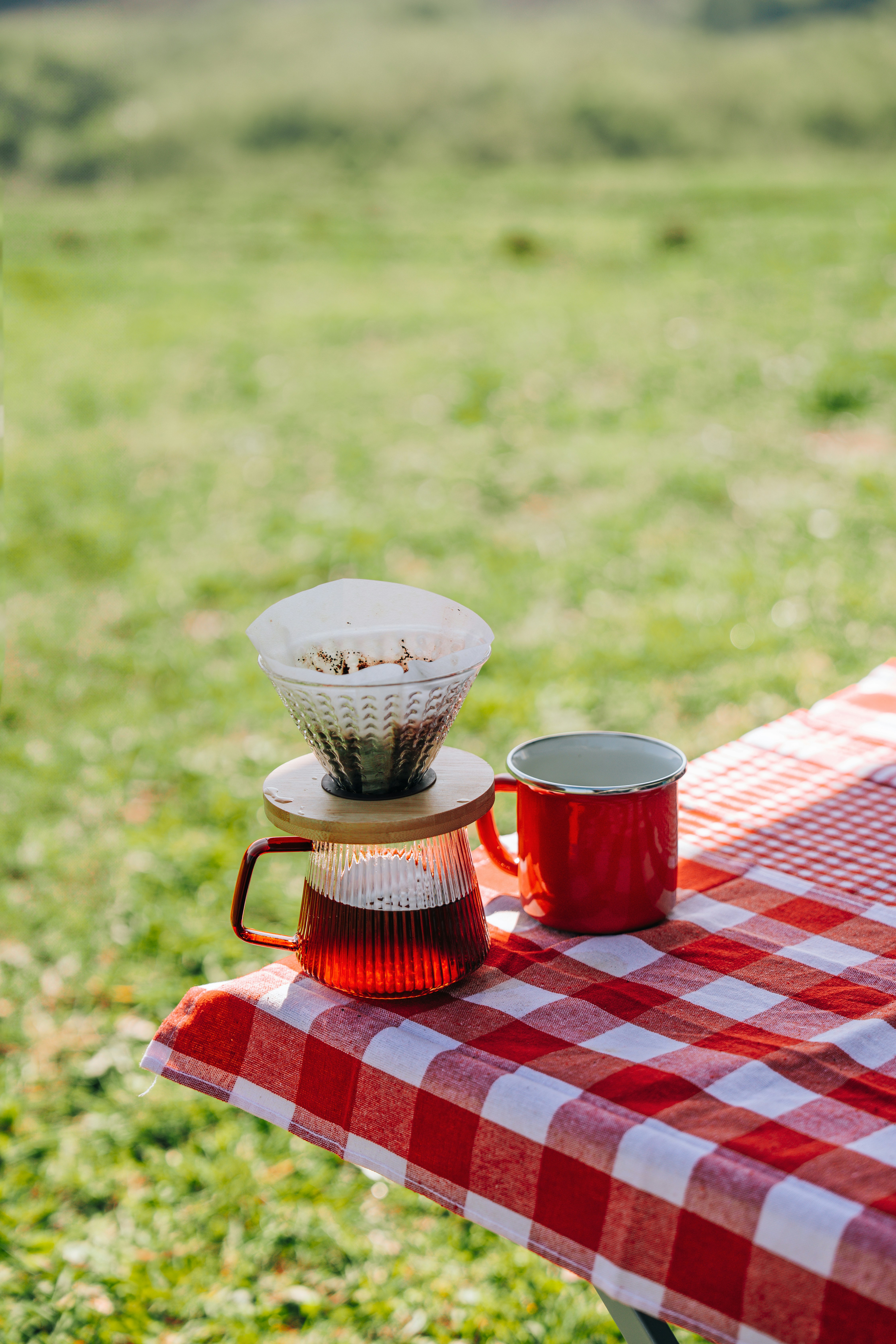 Ice chest outdoor picnic, ilustrasi artikel Unleash the Chill: Top High-Performance Coolers That Keep Ice Frozen for Days 6