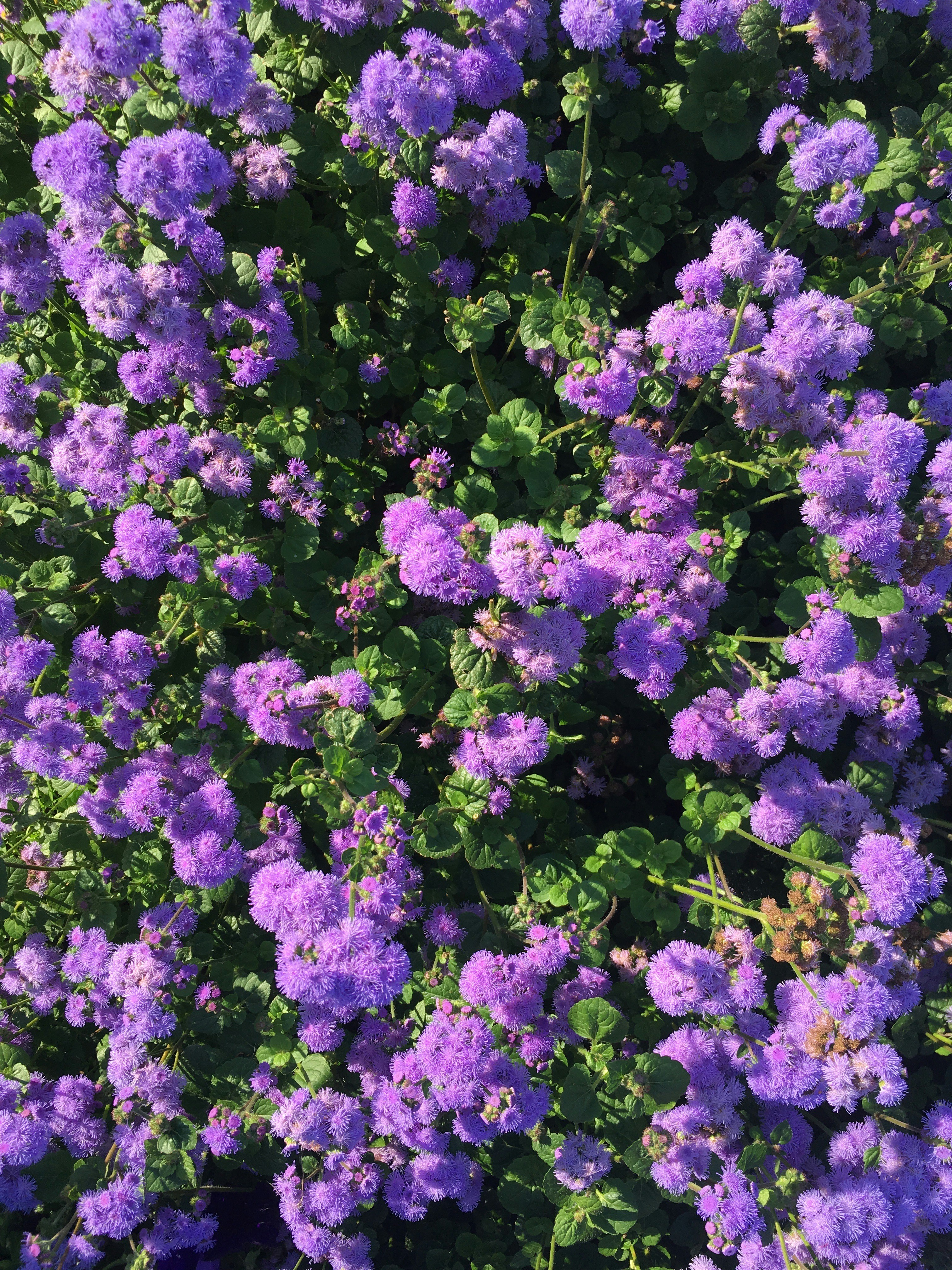 Photo by thisisanamirandahi