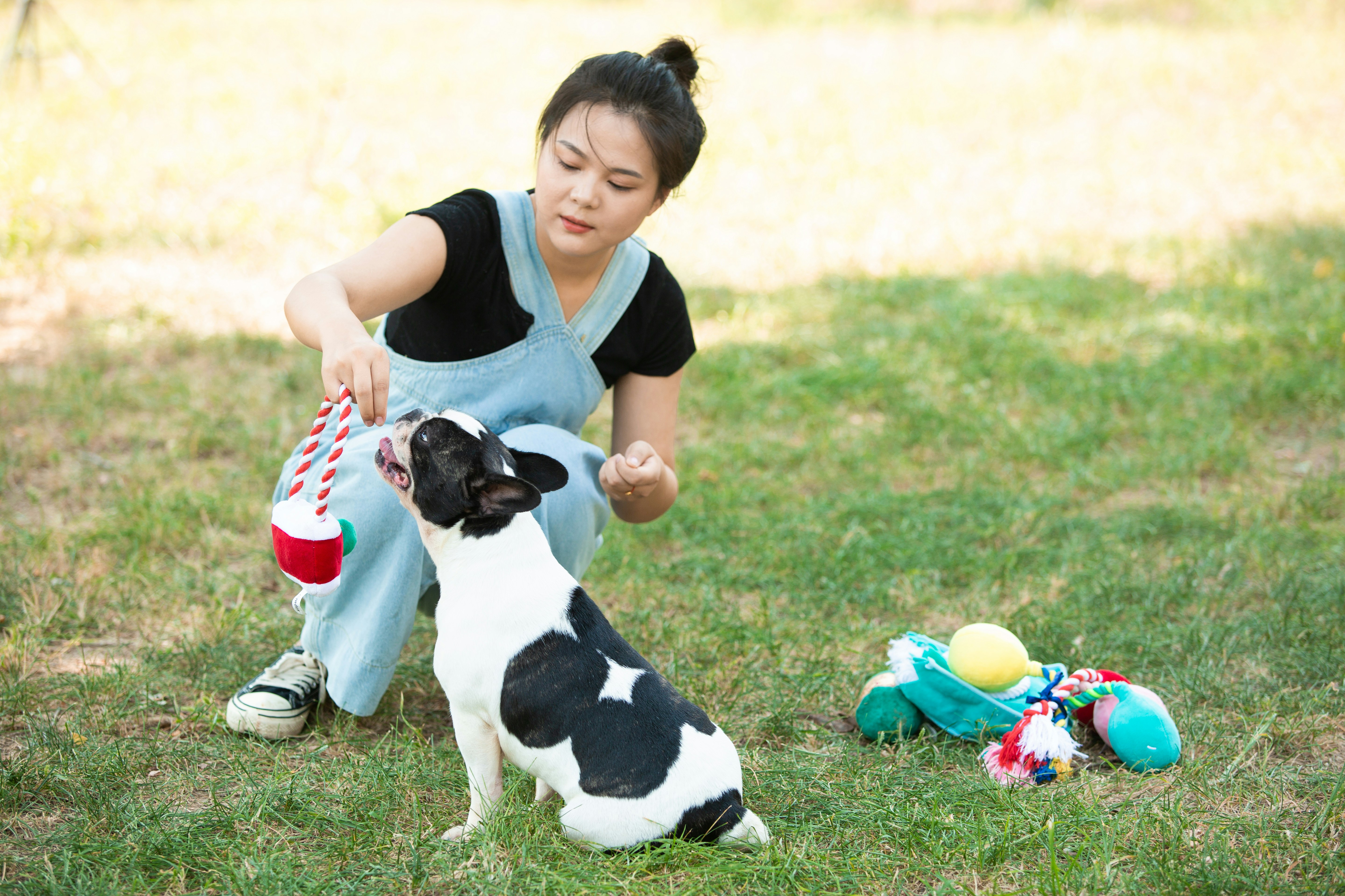 A girl plays with her dog in the grass.