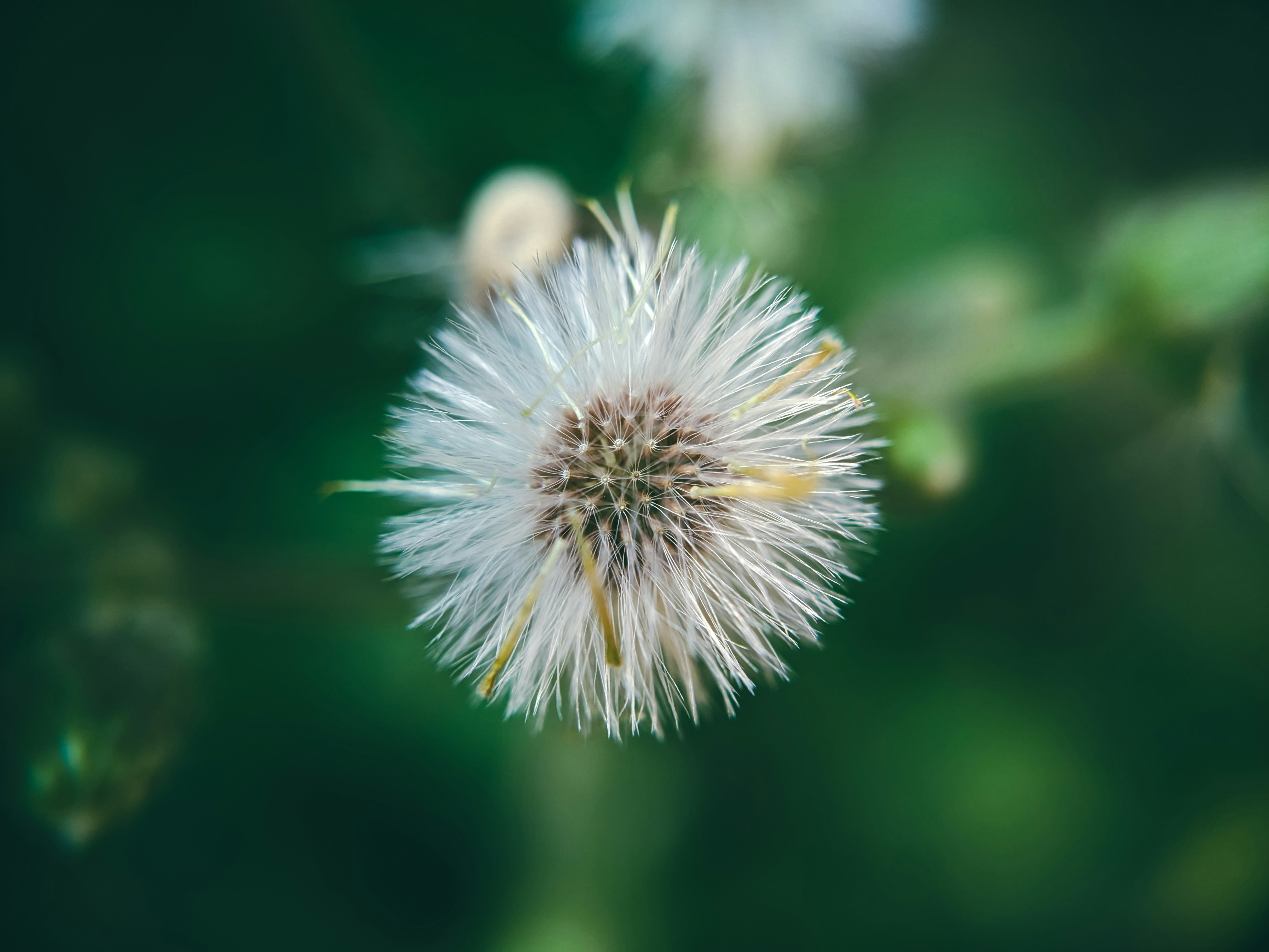 Photo by sujaypaulsp