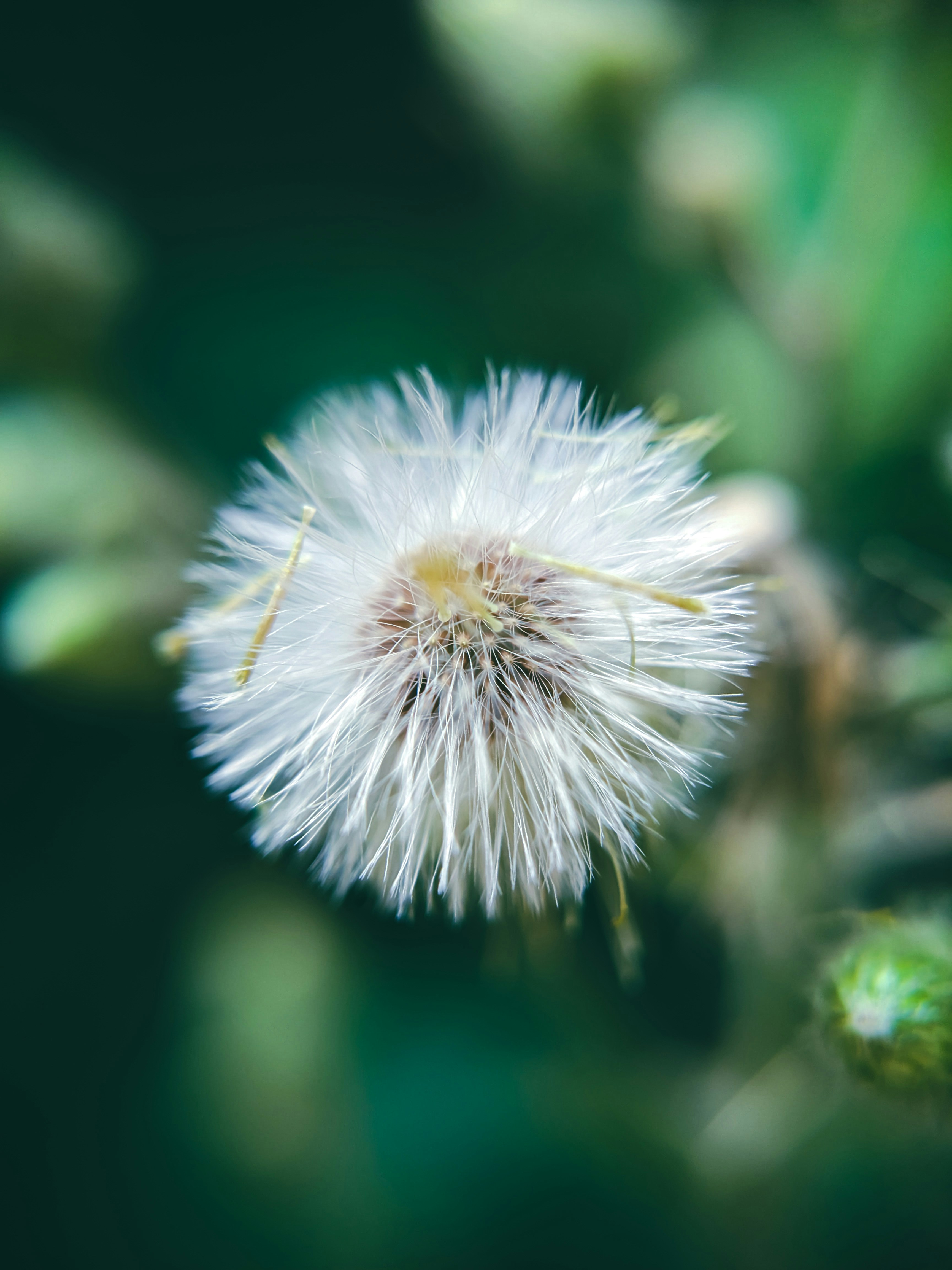 Photo by sujaypaulsp